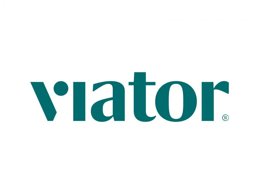 The image shows the logo for 'viator' with stylized lowercase letters in teal color, with a registered trademark symbol next to it, on a white background.