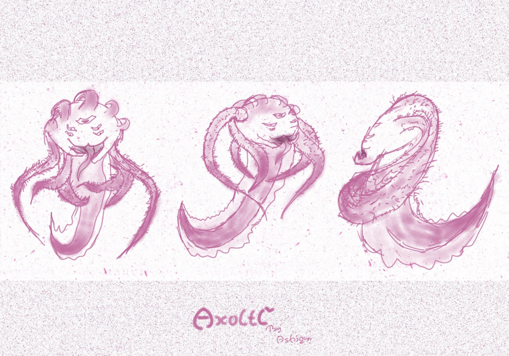 Axolotl Character concept 2.jpg
