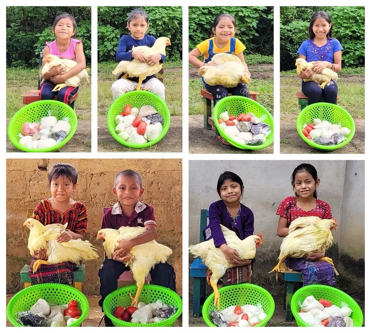 Share the joy of a holiday meal!