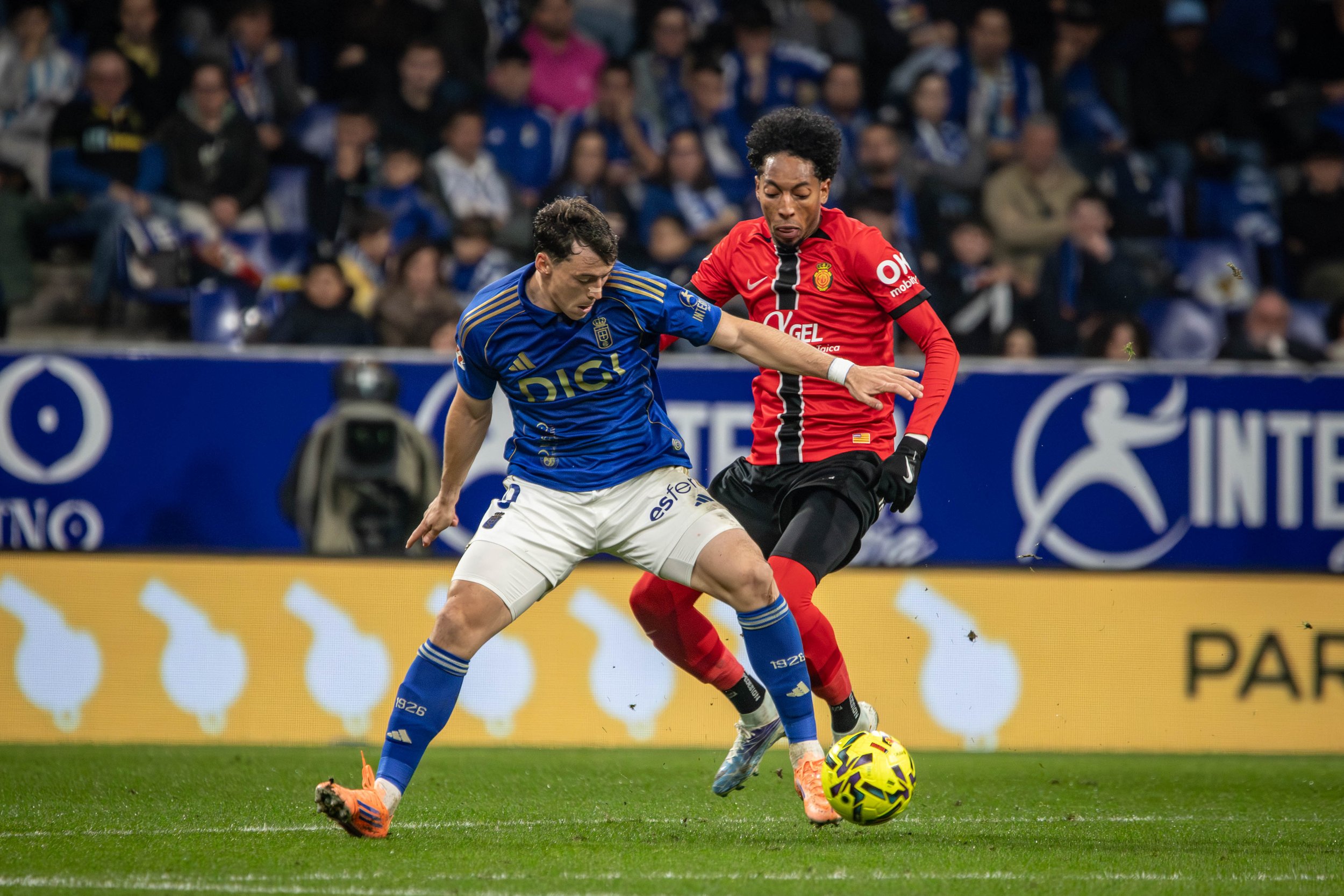 Two soccer players competing for the ball during a match, with a crowd of spectators in the background.