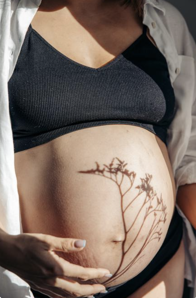 Close-up of a pregnant woman's belly with a plant shadow cast on it, wearing a dark sports bra and an open white shirt.