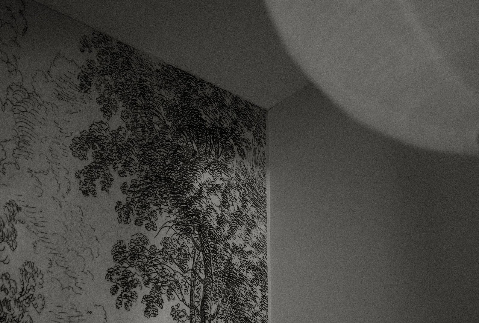 Black and white wall mural of trees and foliage in an interior corner of a room.