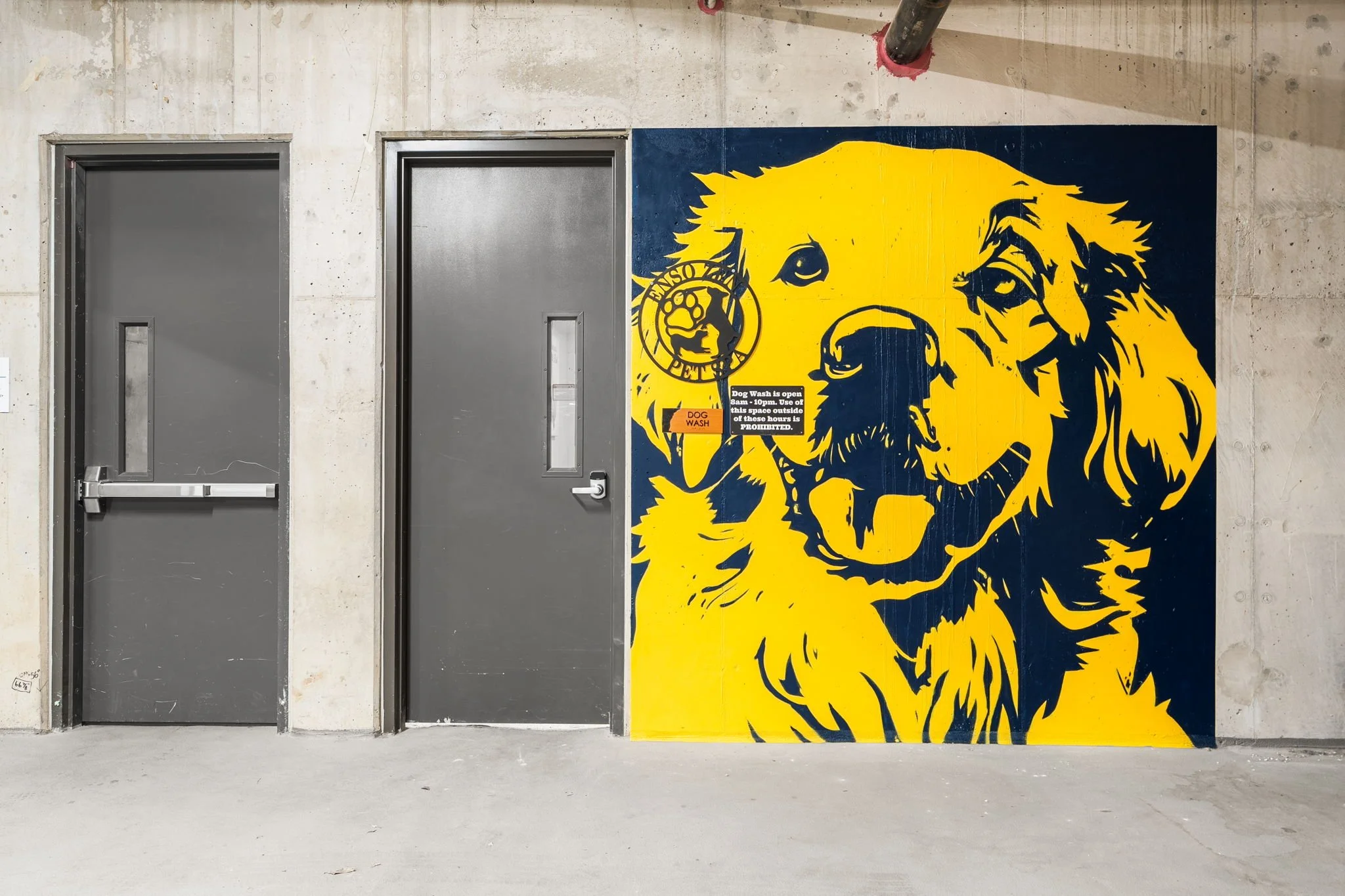 A concrete wall with two gray doors, one of which has a window. To the right of the doors, there is a large yellow and dark blue mural of a happy dog with a ball in its mouth. There are signs on the wall indicating a dog wash area is open from 8am to