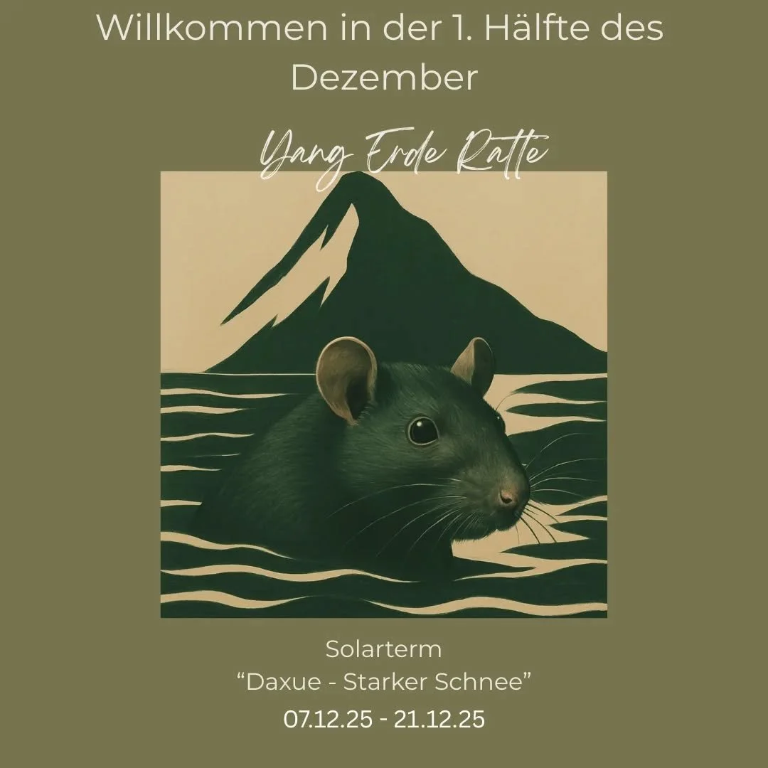 Daxue &ndash; der &bdquo;Starke Schnee&ldquo; f&uuml;hrt uns in die tiefste Yin-Phase des Jahres.
Eine Zeit, in der die Natur zur Ruhe kommt, das Licht nach innen wandert und wir eingeladen sind, uns neu zu sortieren.

💫 Der Dezember ist kein Monat 