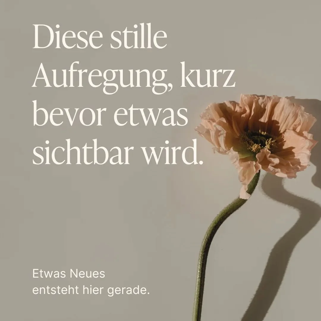 Ich sp&uuml;re gerade diese besondere Mischung aus Ruhe und Aufregung. Dieses leise Kribbeln, kurz bevor etwas Neues sichtbar wird.

Die letzten Tage waren intensiv.
Viel Fokus. Wenig Schlaf. Viele Entscheidungen, die man nicht sieht, aber sp&uuml;rt