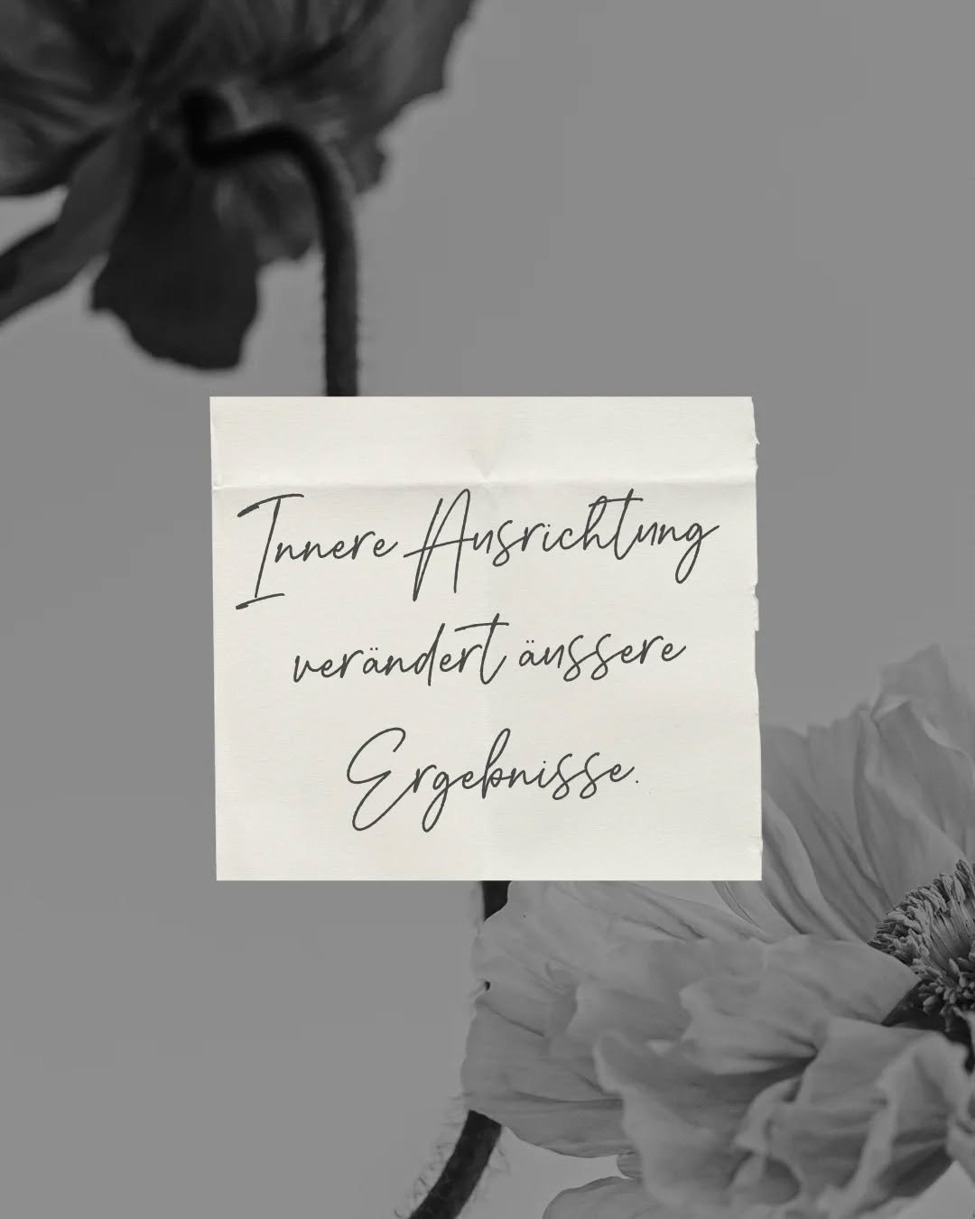 Drei Tage, seit meine Website live ist.
Und ich bin immer noch ganz bei diesem Gef&uuml;hl: ruhig, dankbar, erf&uuml;llt.

Nicht wegen Zahlen.
Sondern wegen der Nachrichten. Der Gespr&auml;che. Der Resonanz.

Dieser Launch war kein Startschuss.
Er wa