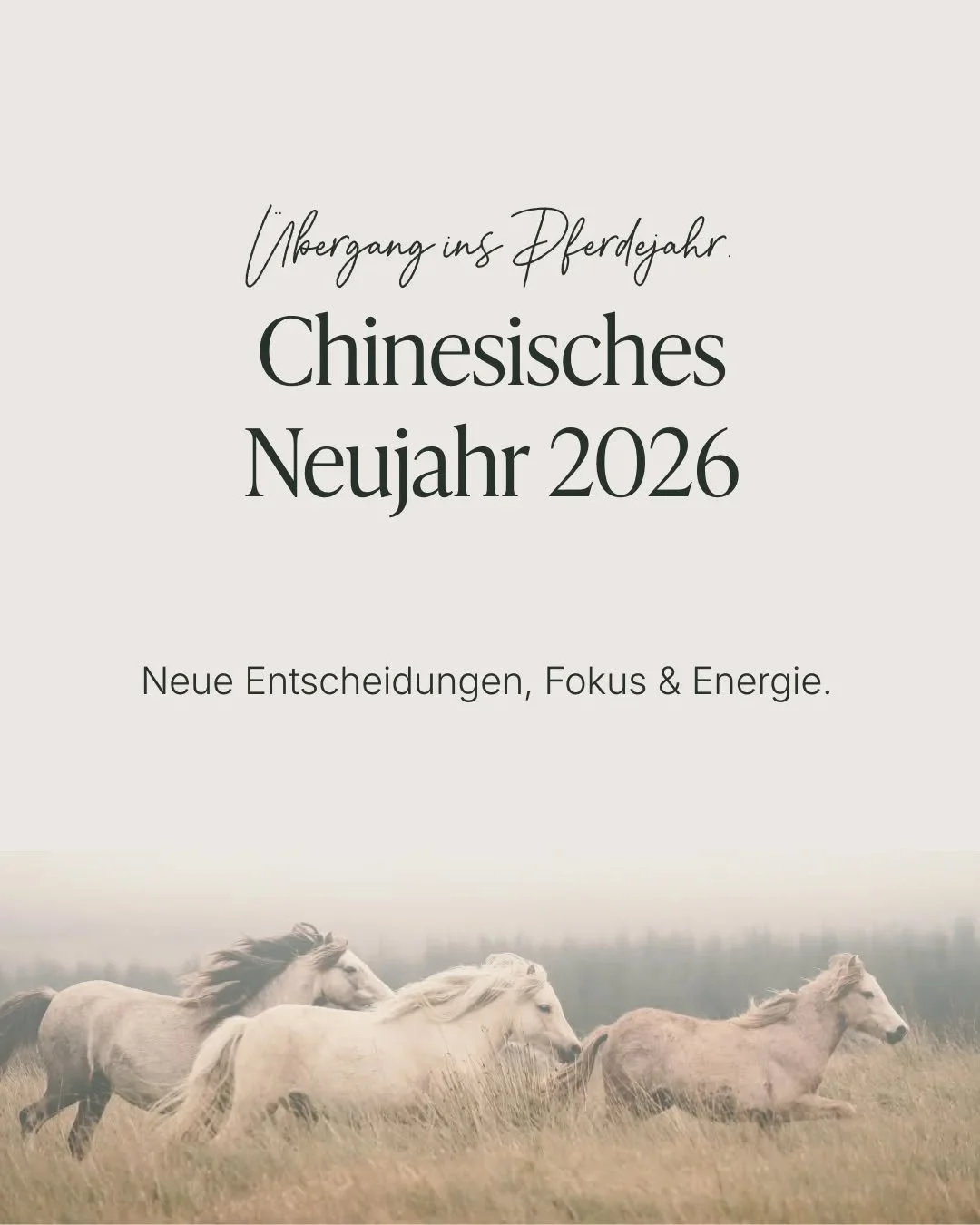 Vielleicht hast du vom chinesischen Neujahr schon geh&ouml;rt.

Was viele nicht wissen:

Es ist kein einzelner Tag, sondern ein &Uuml;bergang.

Am 04.02.26 beginnt das neue Jahr nach dem Sonnenkalender.

Ab diesem Moment wird die Jahresenergie des Pf