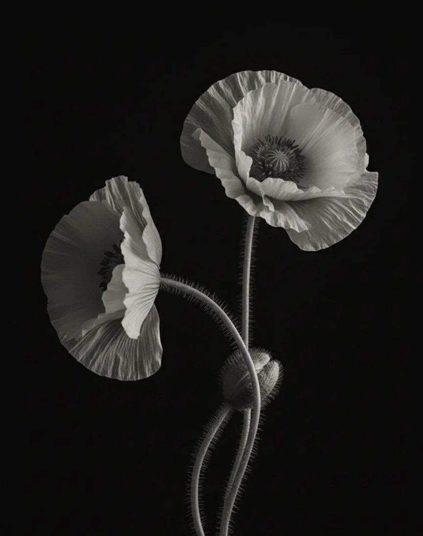 Natürliche Formen für innere Ordnung, Stabilität und Wachstum