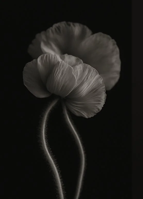 Zarte Blüten als Symbol für innere Reife, Bewusstsein und persönliche Entwicklung