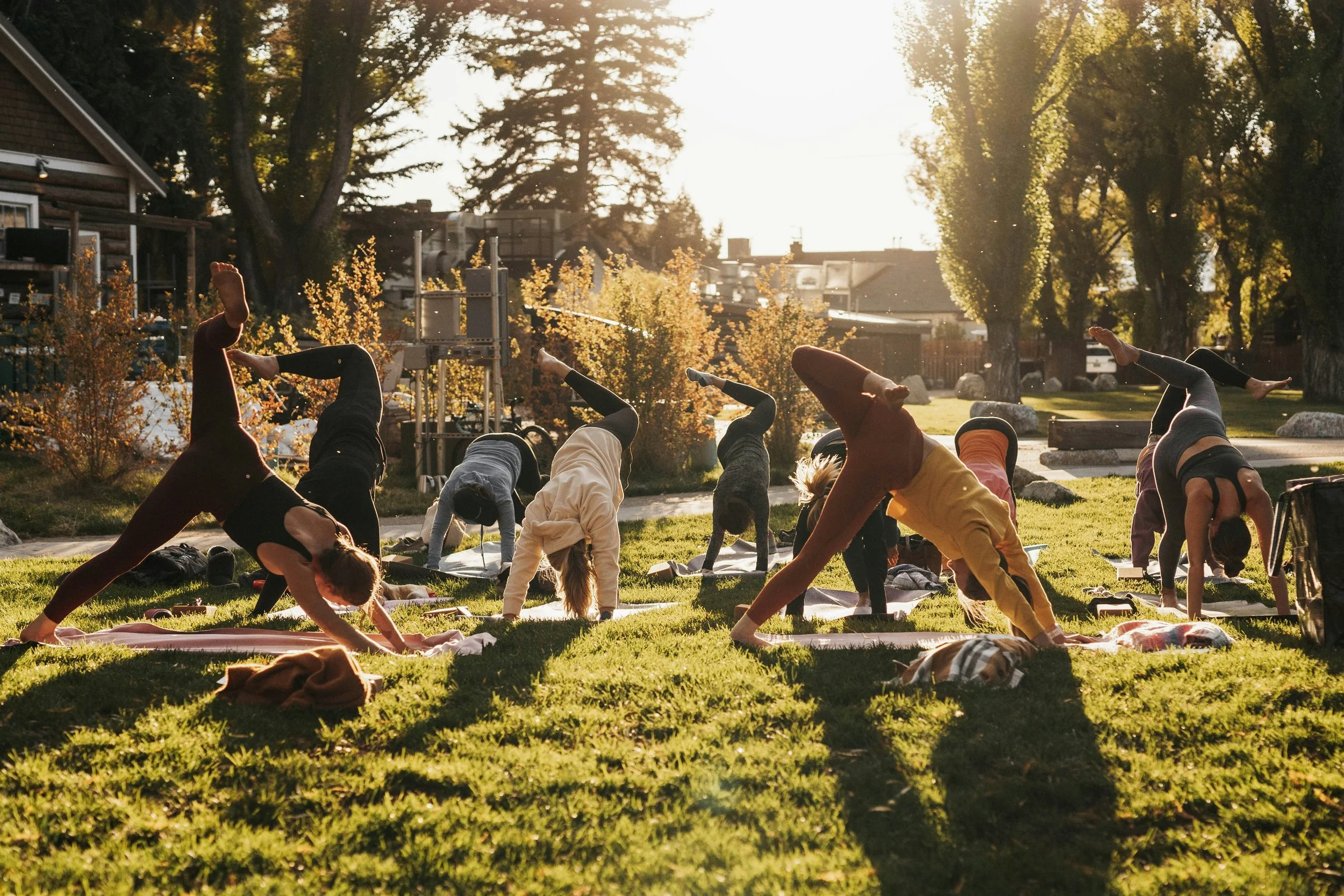 A group fitness class at a park flips their downward dog in the grass!
