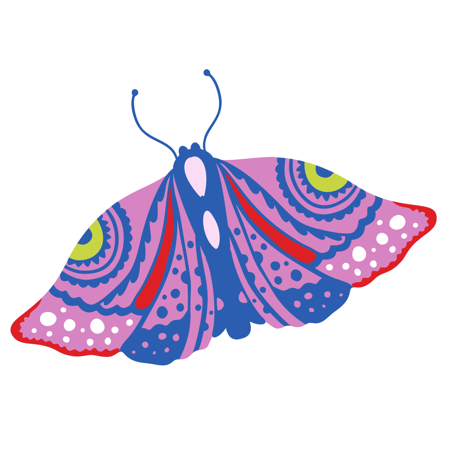 A colorful butterfly illustration perches on the edge of the page's imagery.