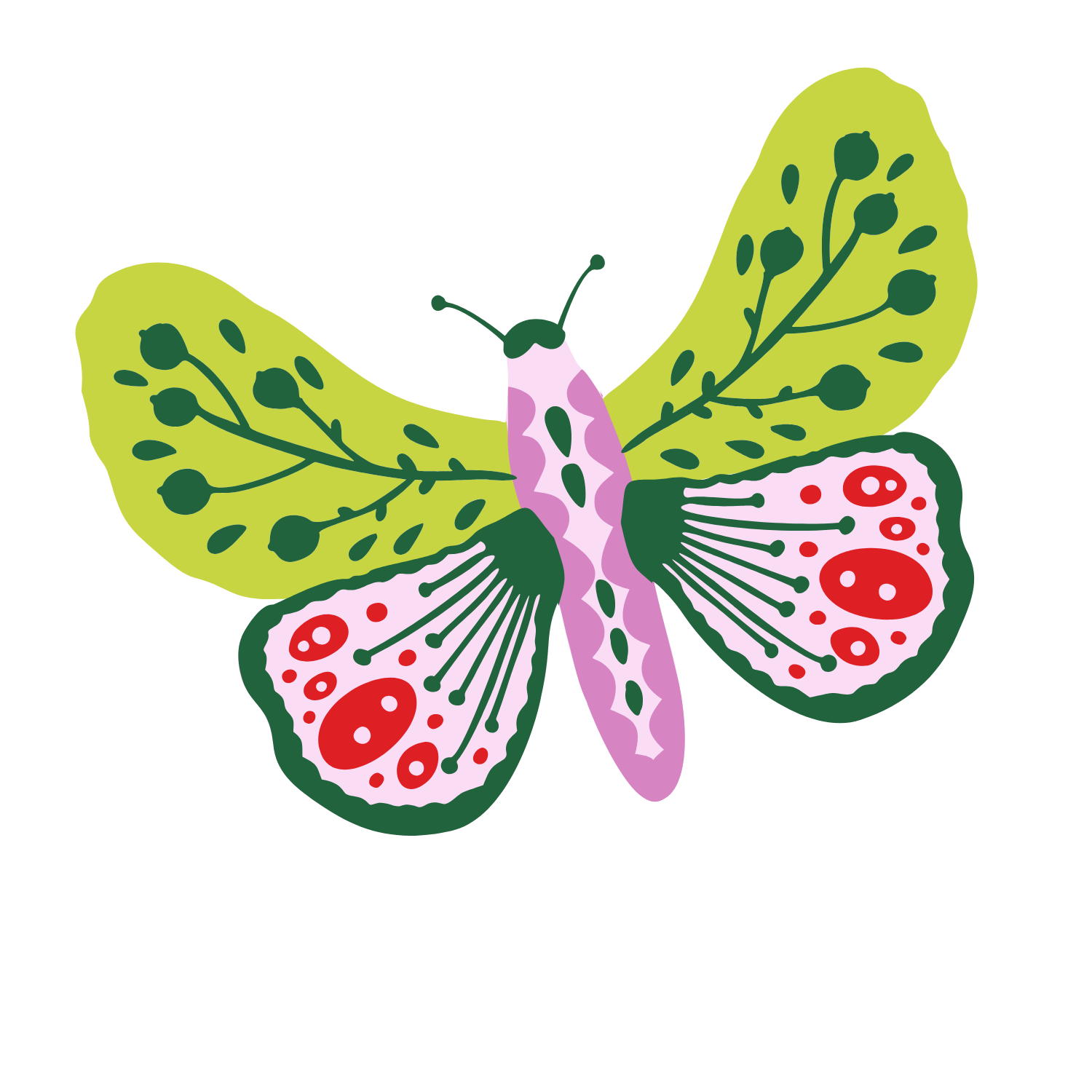 Another brightly-illustrated butterfly flutters across the page.