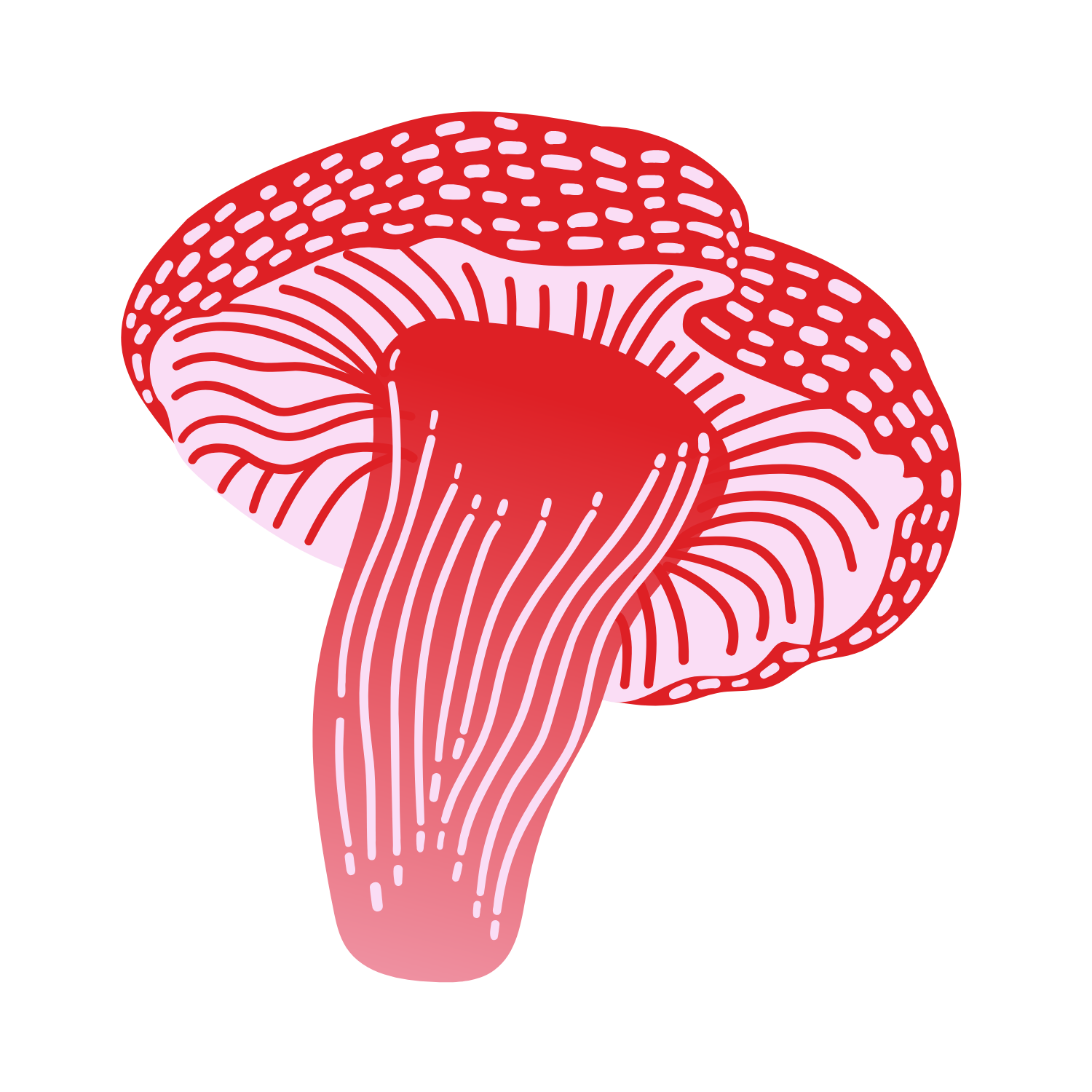 A pink and red illustration of a mushroom cap