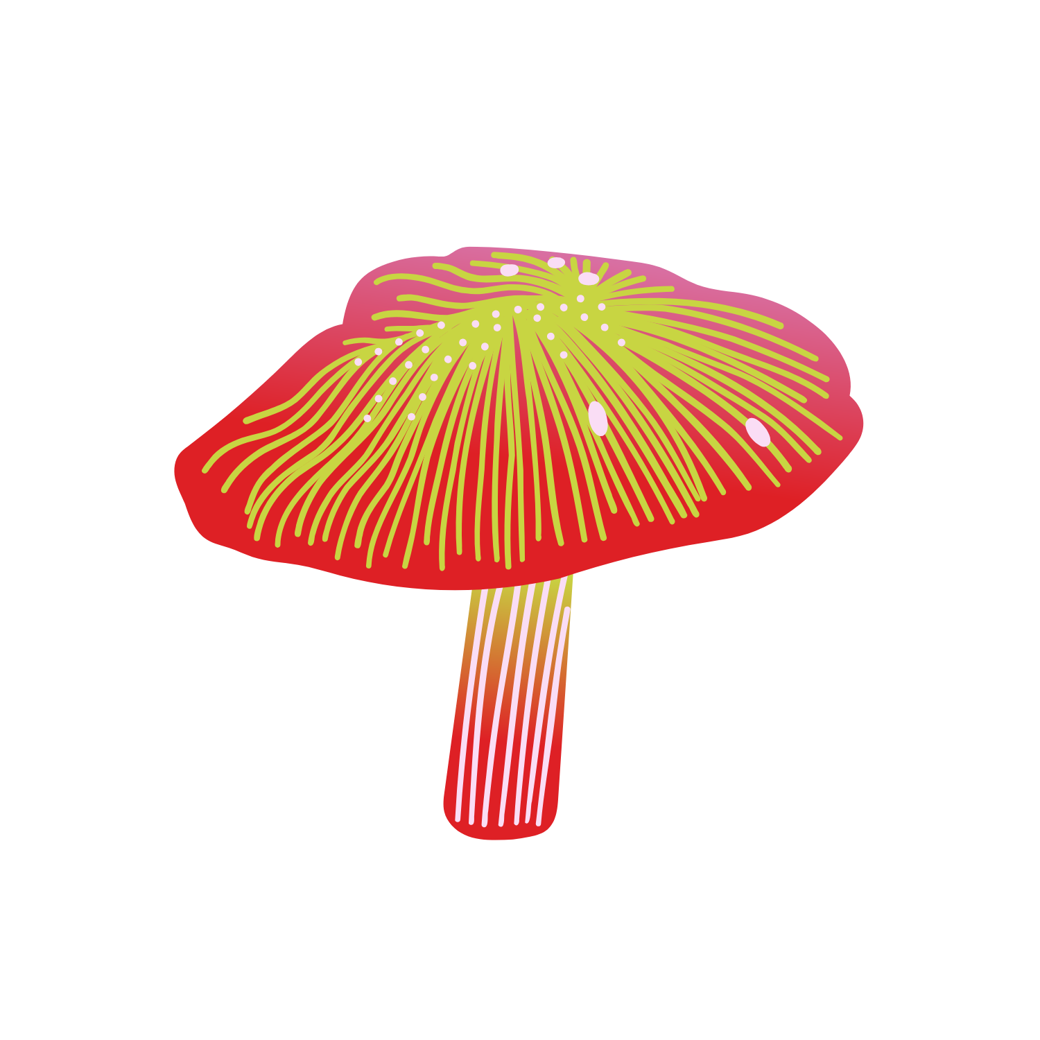 Another final illustrated mushroom.