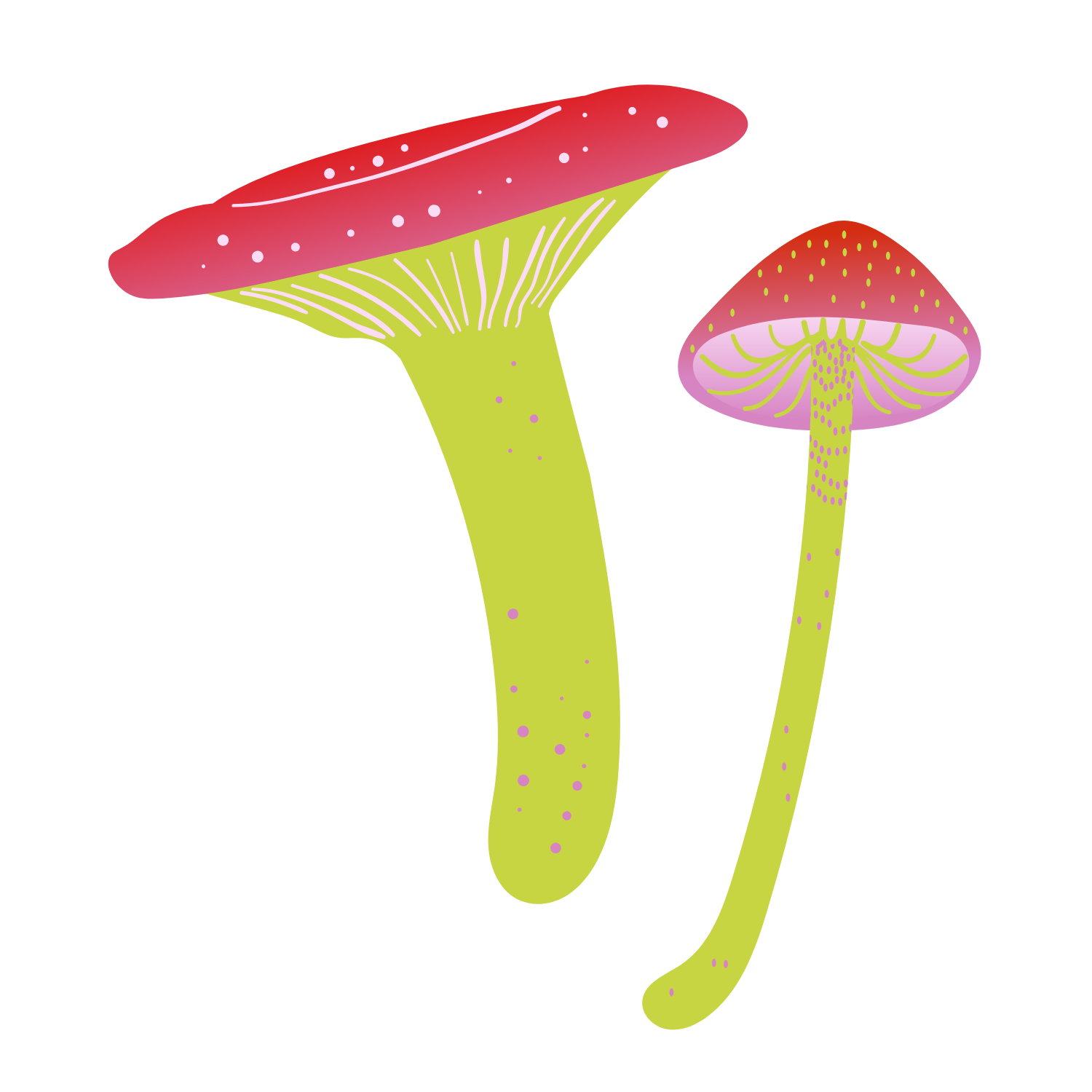 Illustration of two friendly red and green mushrooms.