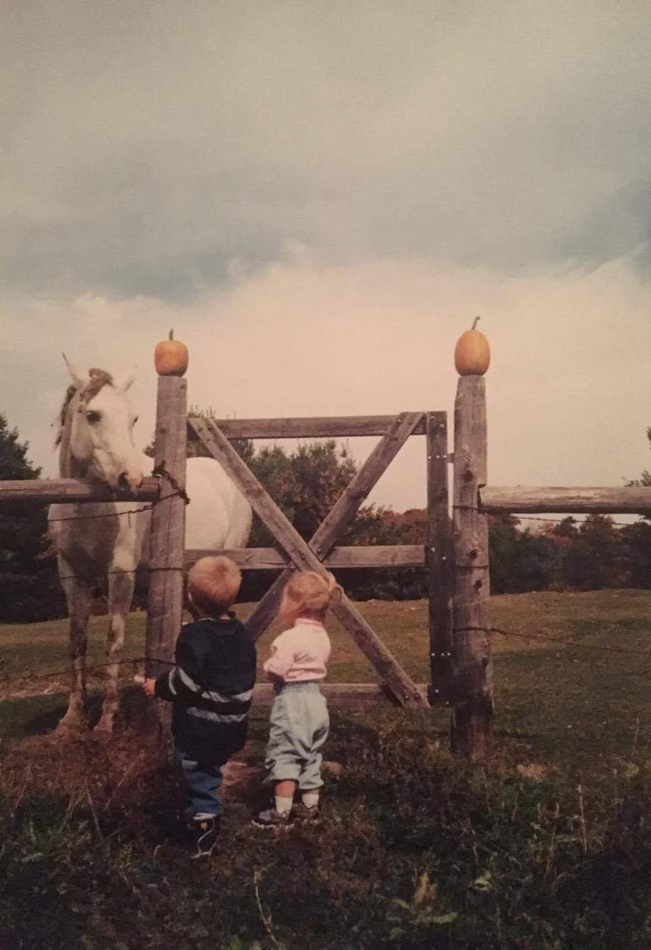 Two children watching a white horse behind a rustic wooden fence with two stacked pumpkins on the fence posts, under a cloudy sky.