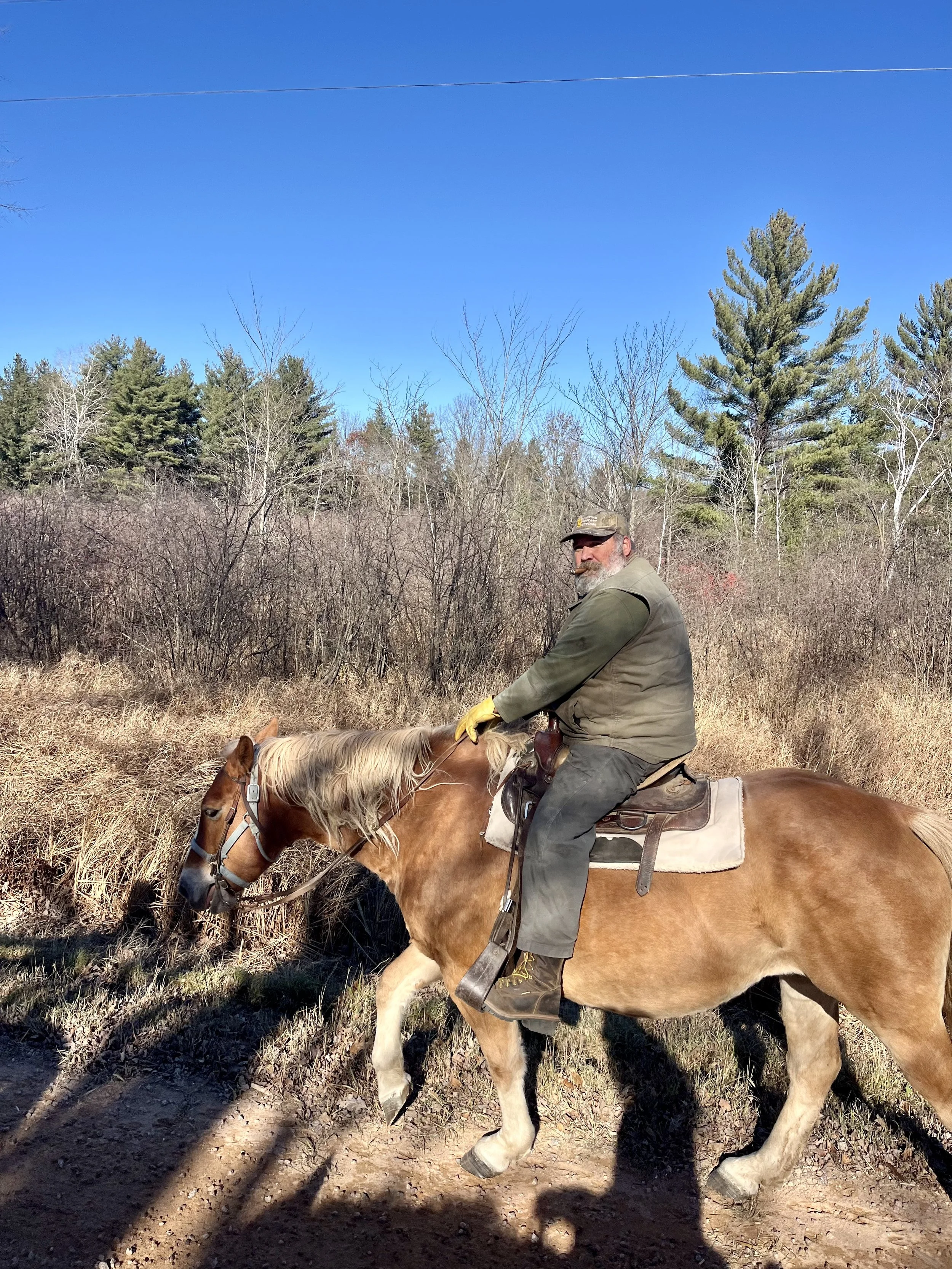 A man riding a horse in a rural outdoor setting with trees and a clear blue sky.