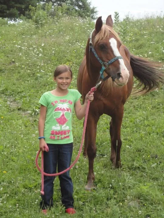 A young girl standing on a grassy field, holding a pink lead attached to a brown horse with a white face and a blue halter.