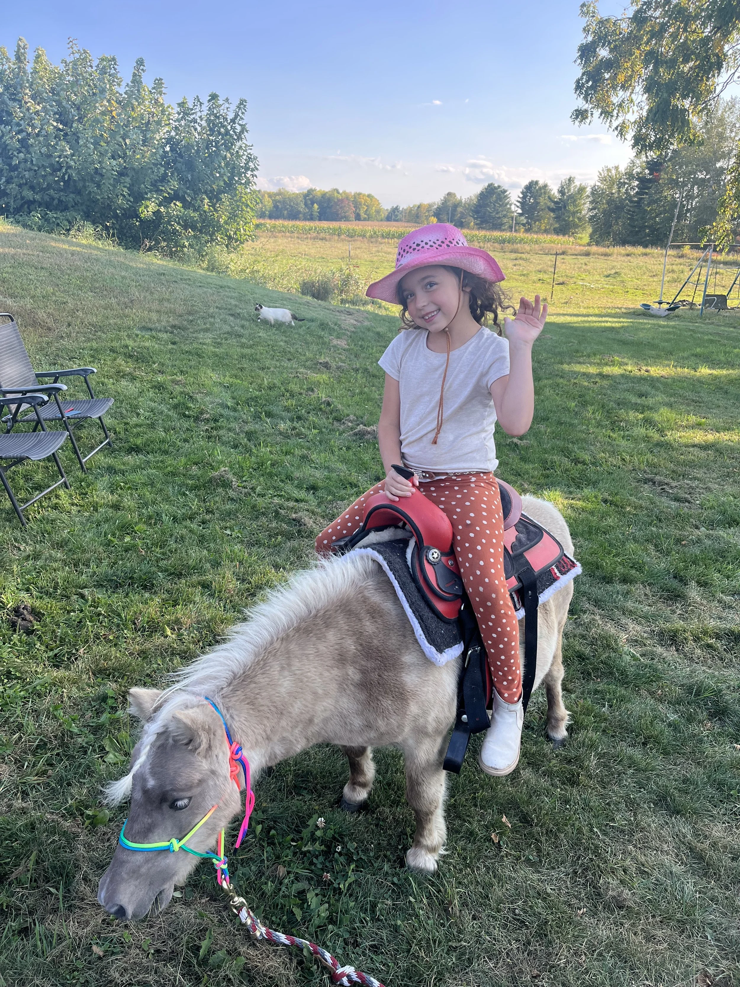 A young girl with curly hair wearing a pink sunhat, a white t-shirt, and polka dot orange pants, riding a small horse in a grassy field. A small grey pony is grazing nearby, with a colorful halter and lead rope. There are chairs and a swing set in the background, with trees and open farmland under a partly cloudy sky.