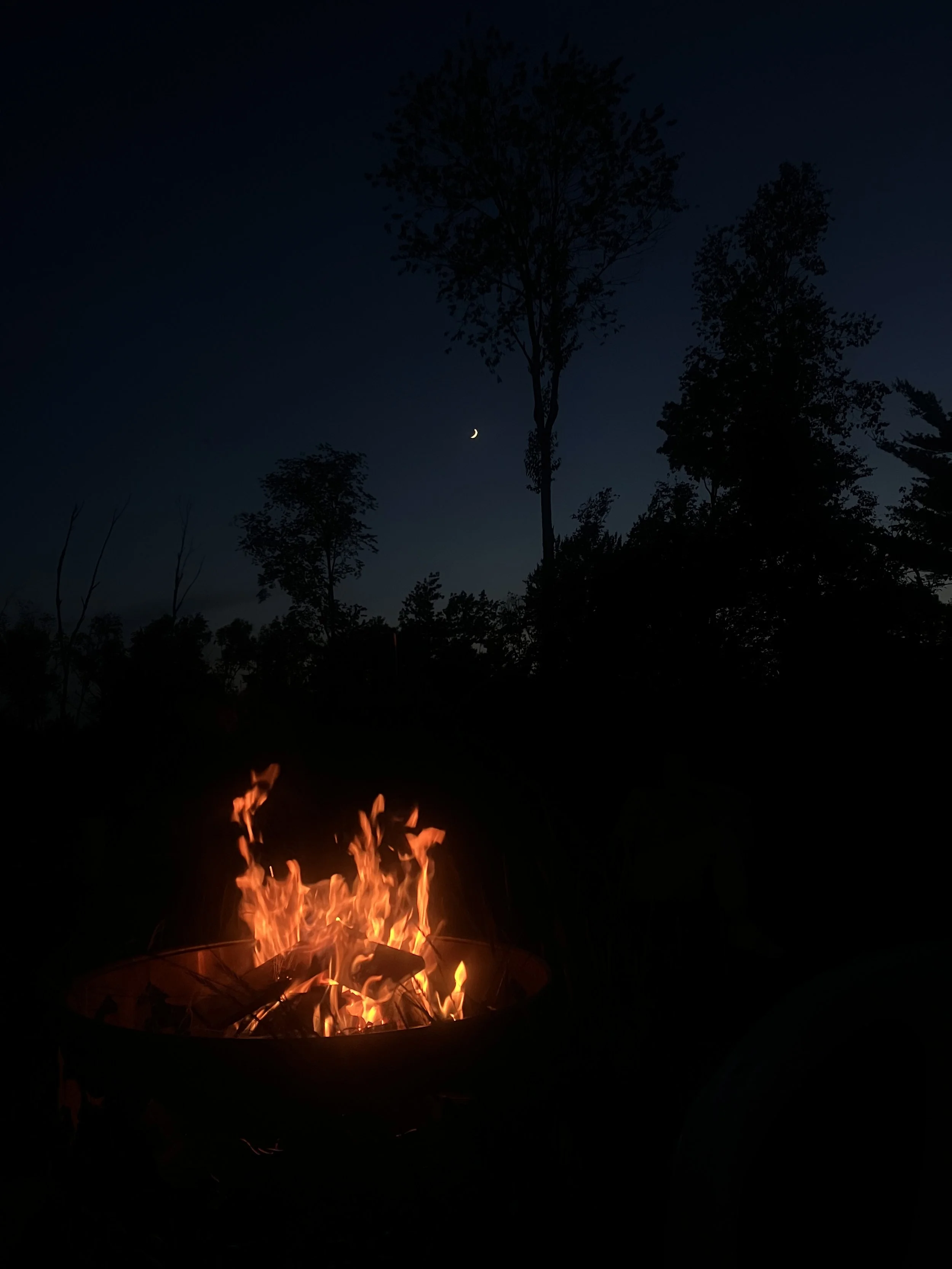 Night sky with a crescent moon and trees silhouetted against the dark sky, with a campfire burning in the foreground.