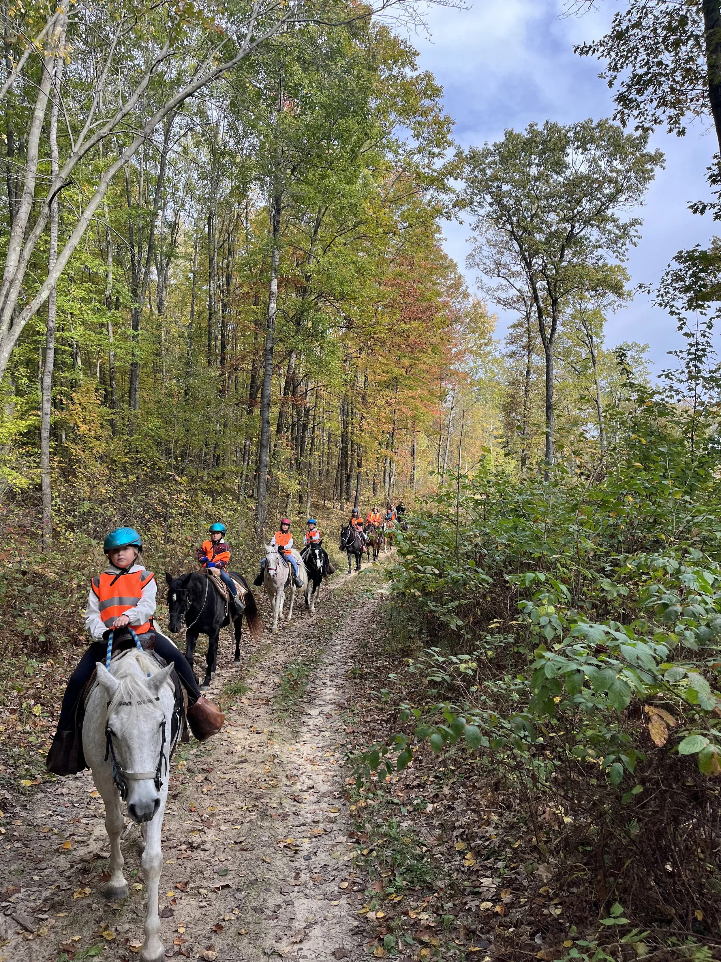 Children in orange safety vests riding horses on a forest trail with fall foliage.