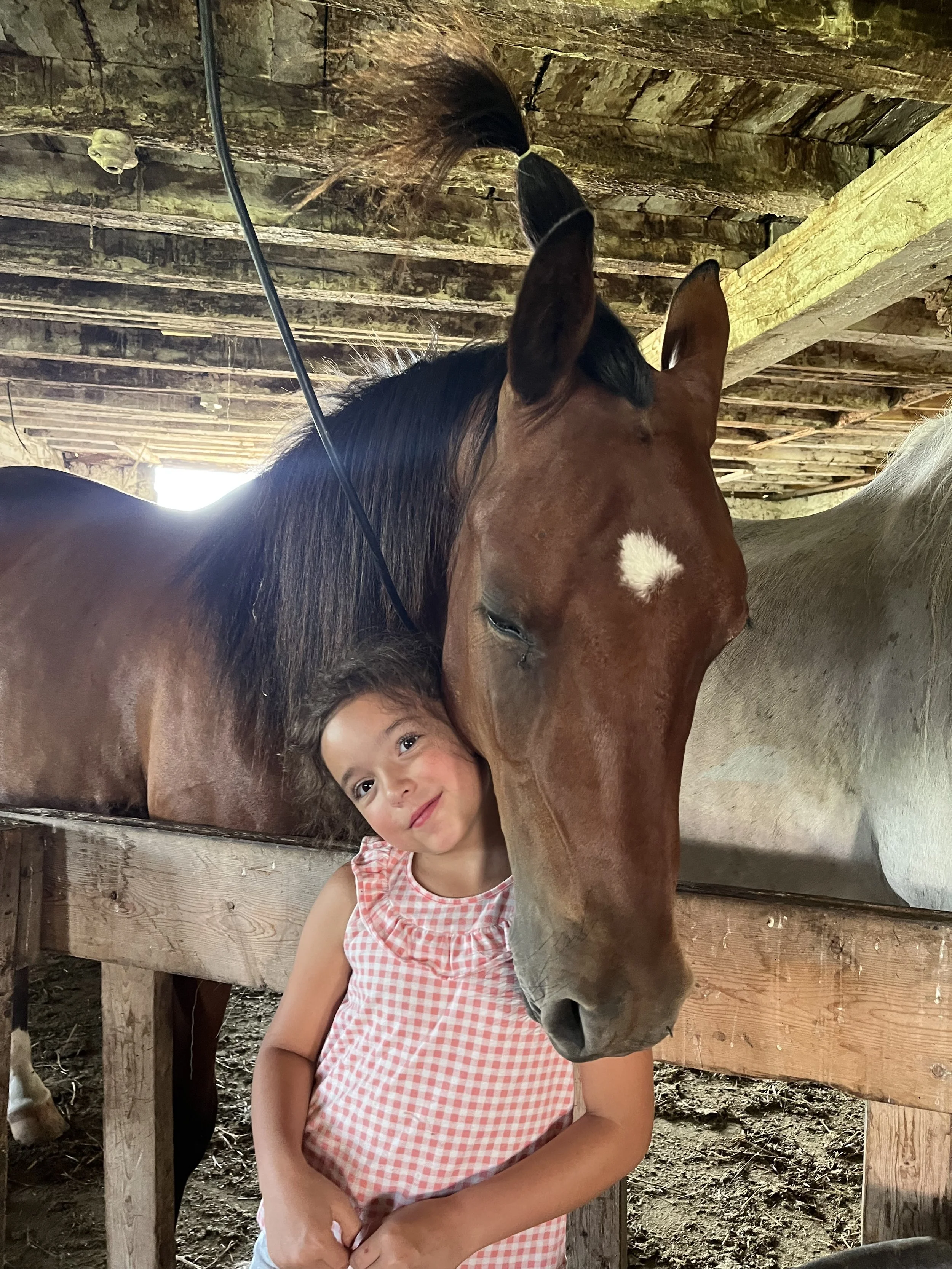 A young girl in a pink and white checkered dress smiles with her arm around a horse in a wooden barn.