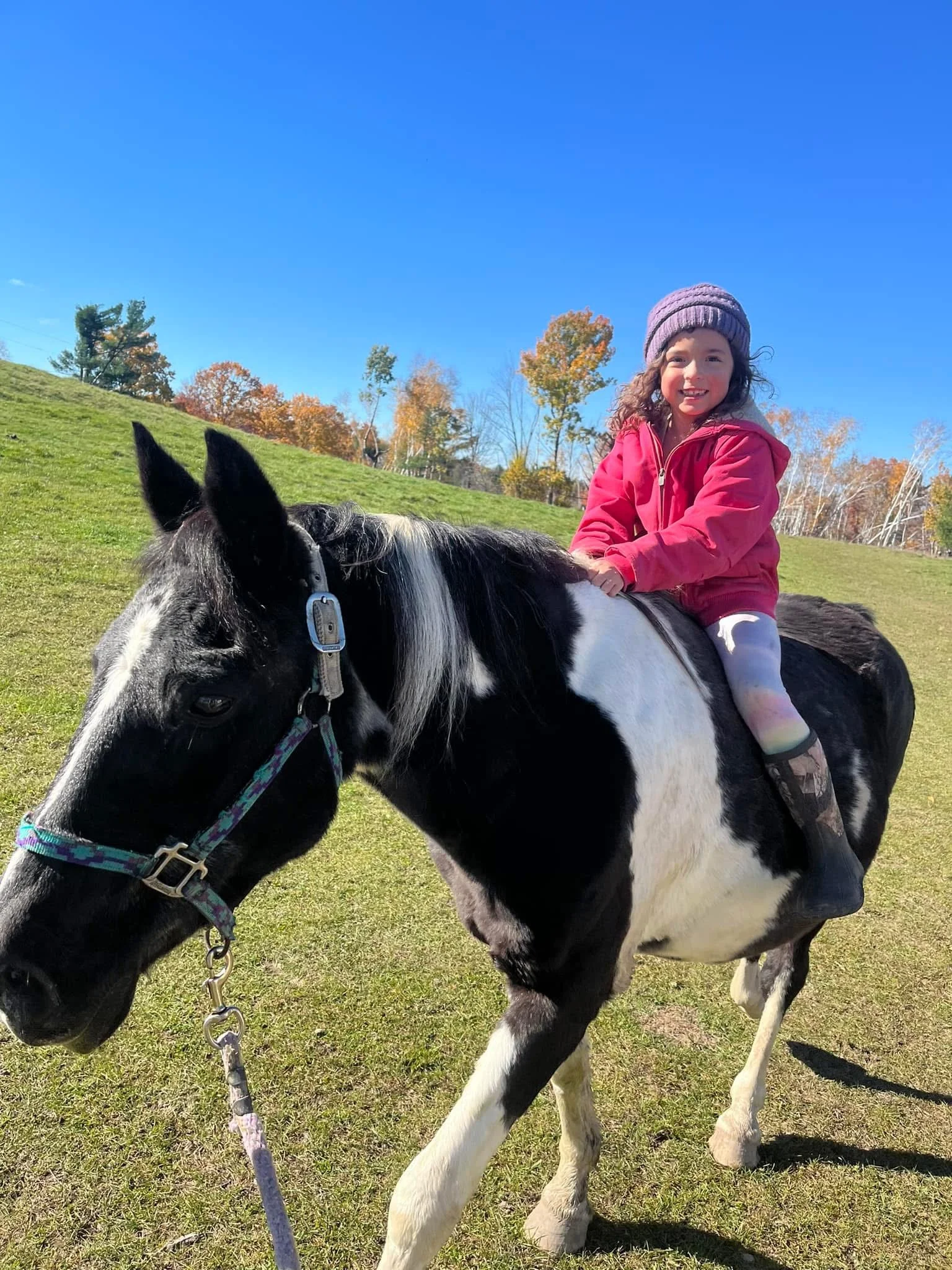 A young girl with curly hair wearing a purple knit hat and red jacket riding a black and white horse on a grassy field with trees and a blue sky in the background.