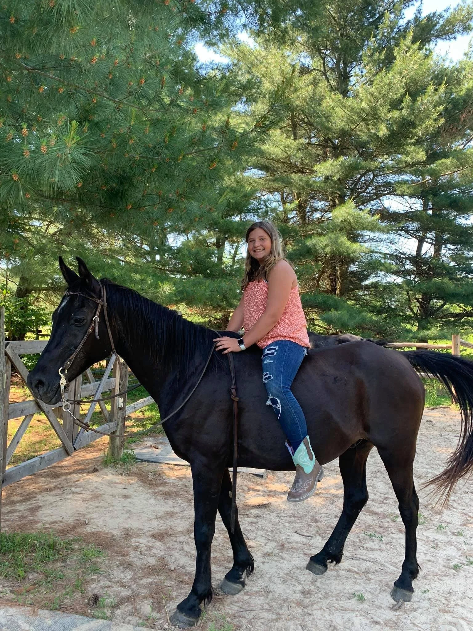 A girl riding a black horse in a wooded area with tall trees and a wooden fence in the background.