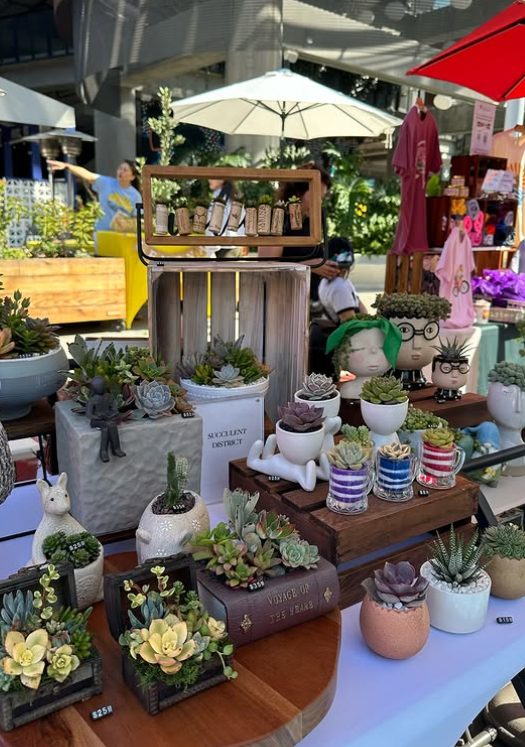 Succulent District