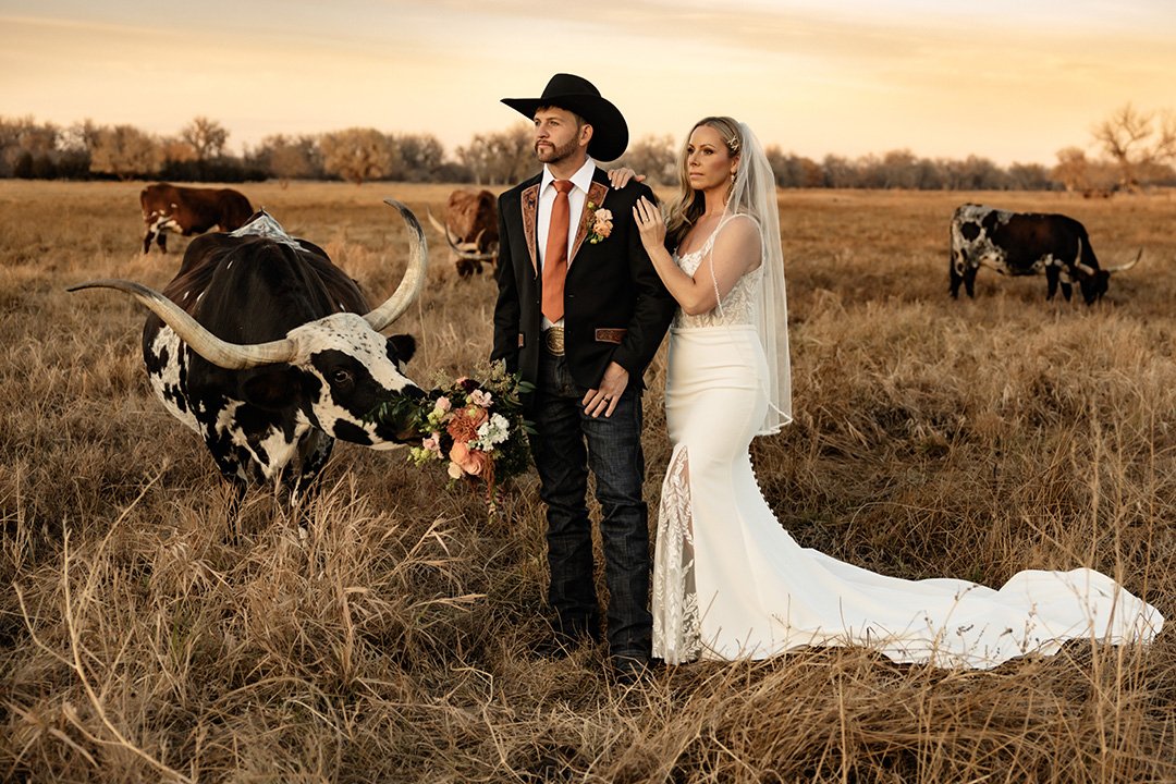 Newly married bride and groom standing in the hayfield next to longhorn cattle at a Colorado wedding venue with gorgeous views