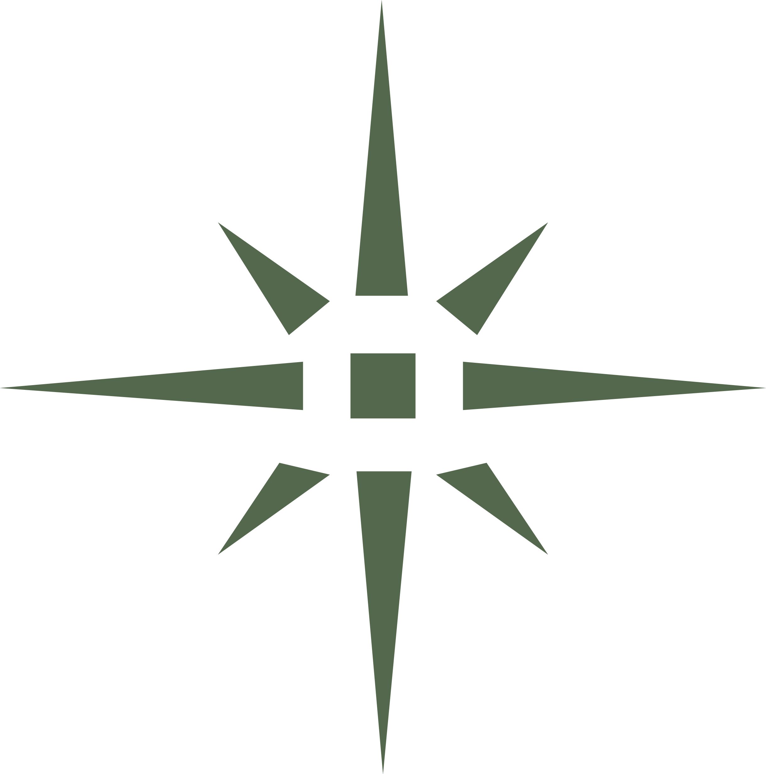 Green eight-pointed star symbol on a black background