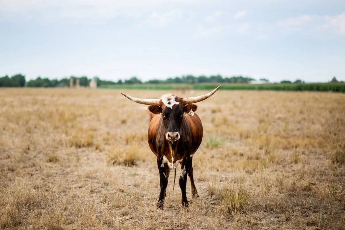  Sarah Goff Photography 