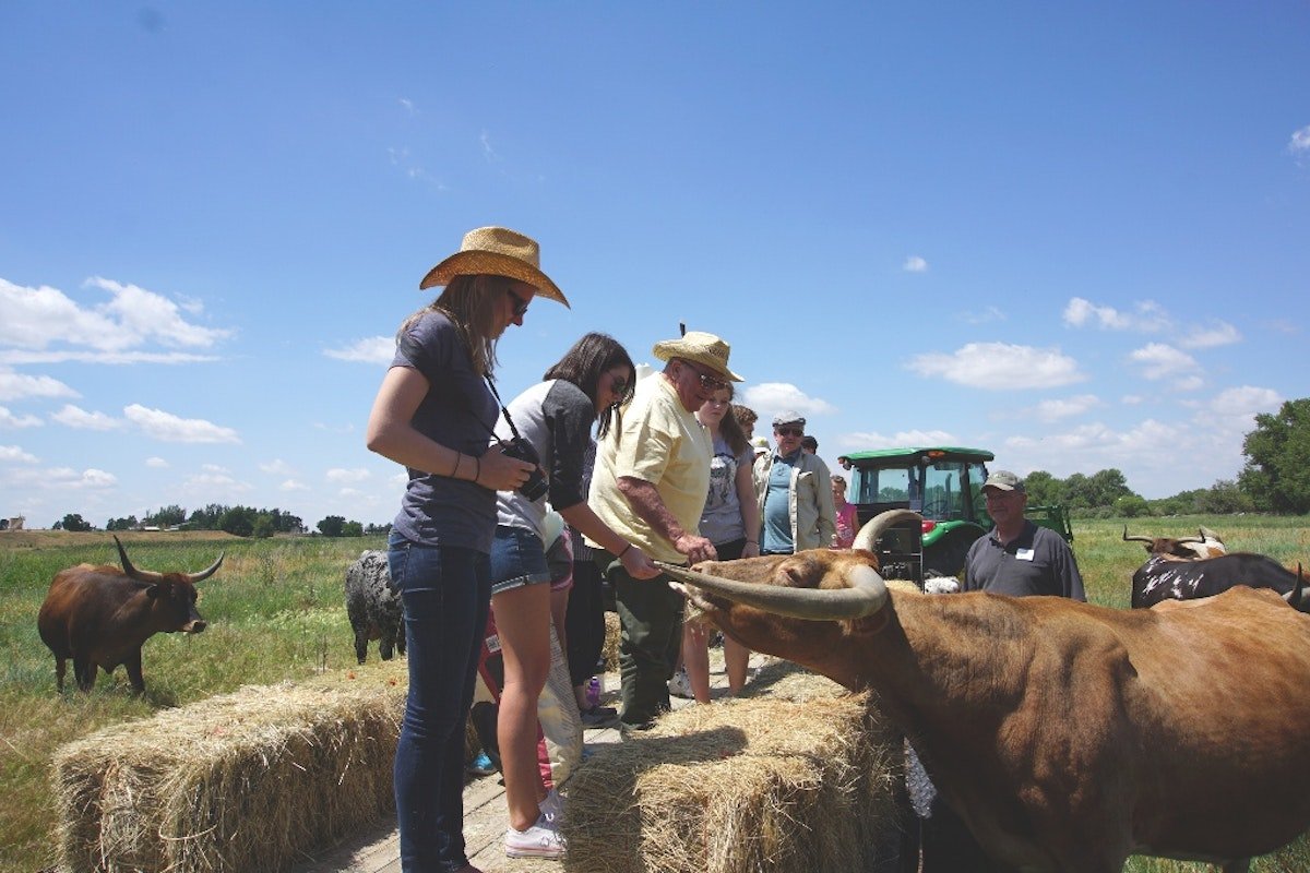 16 RFR People with Cows DSC08585.jpg