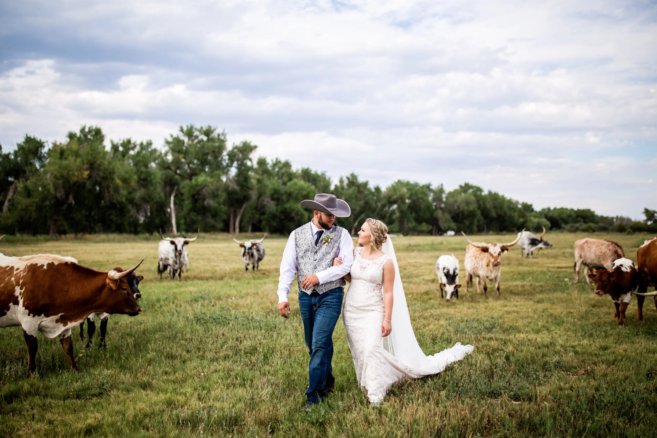 A bride and groom walking arm in arm through a grassy field with cows grazing around them, with a cloudy sky overhead.