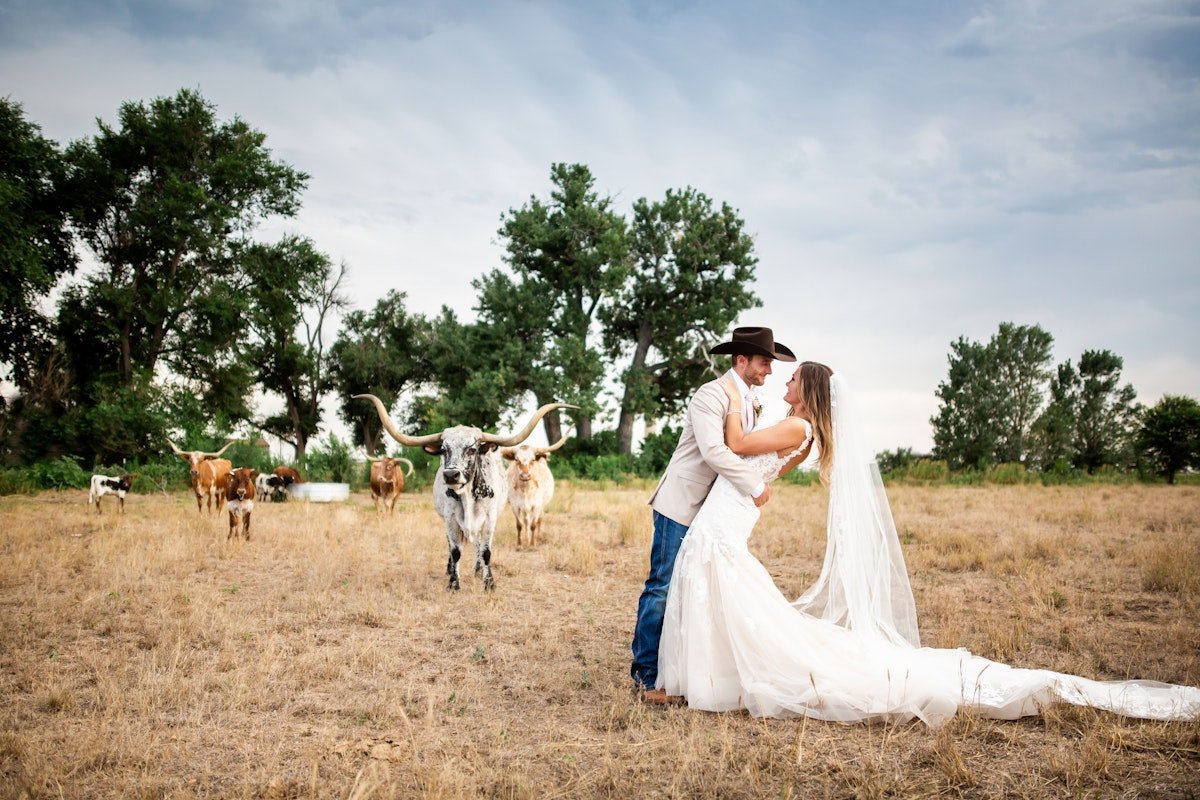 A bride and groom are dancing in a field with cows in the background, under a cloudy sky.