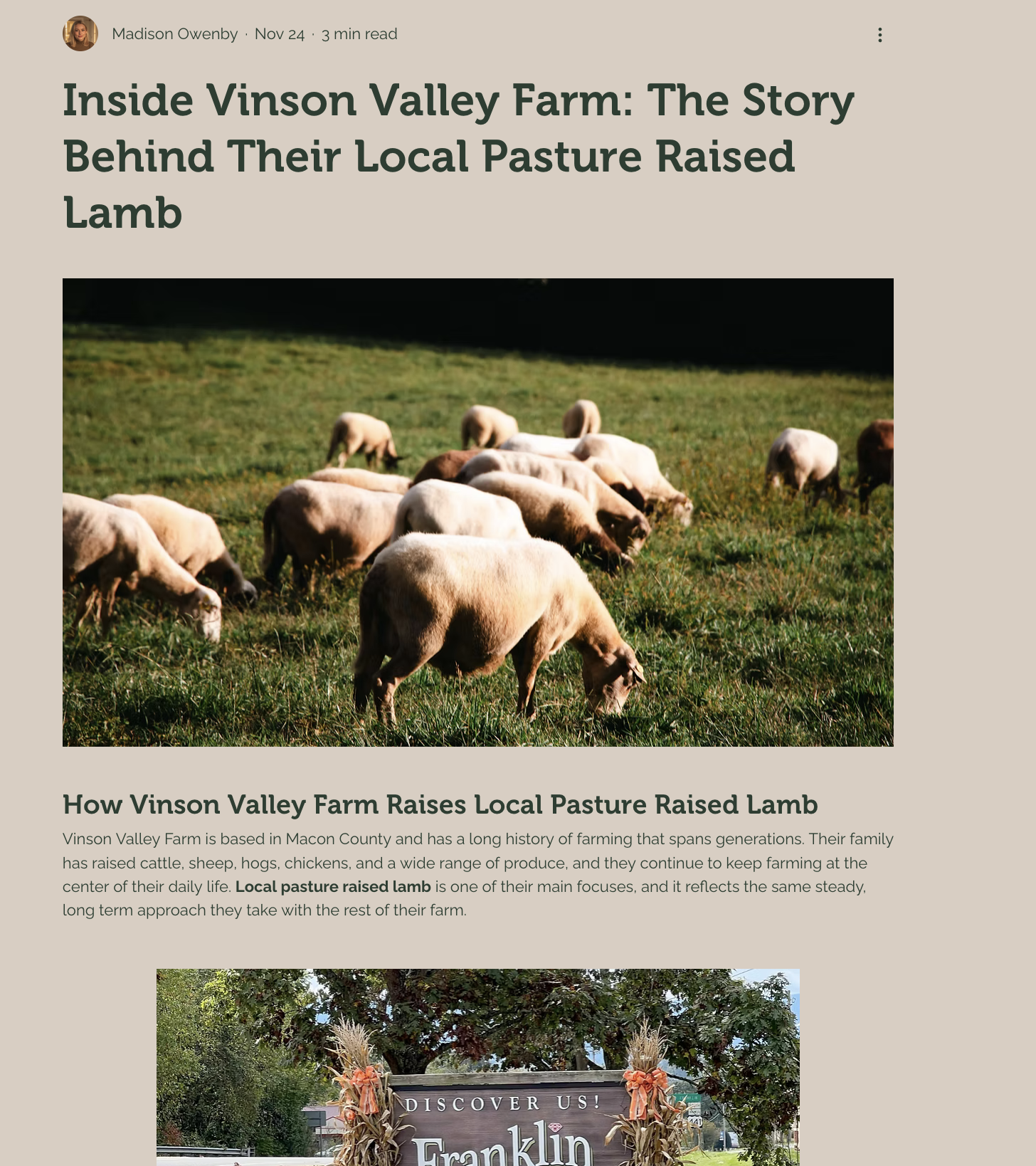 Grazing lambs on a green pasture at Vinson Valley Farm with a dark background.