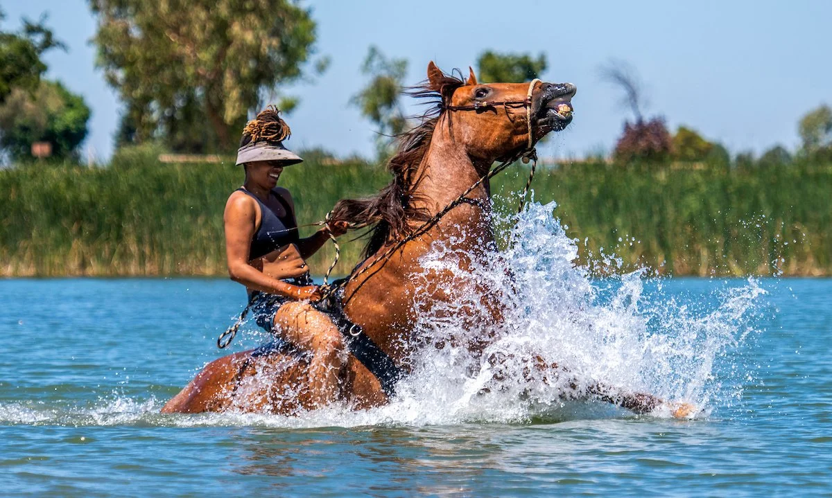 Keynote Topic: A250: Portrait of a Nation