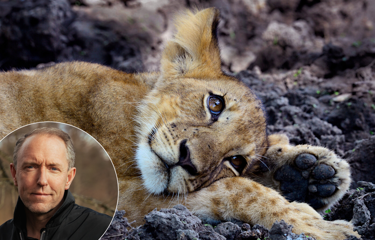 Photographer Mattias Klum, National Geographic Fellow, presenting on the keynote speaking topic of global biodiversity and conservation photography.