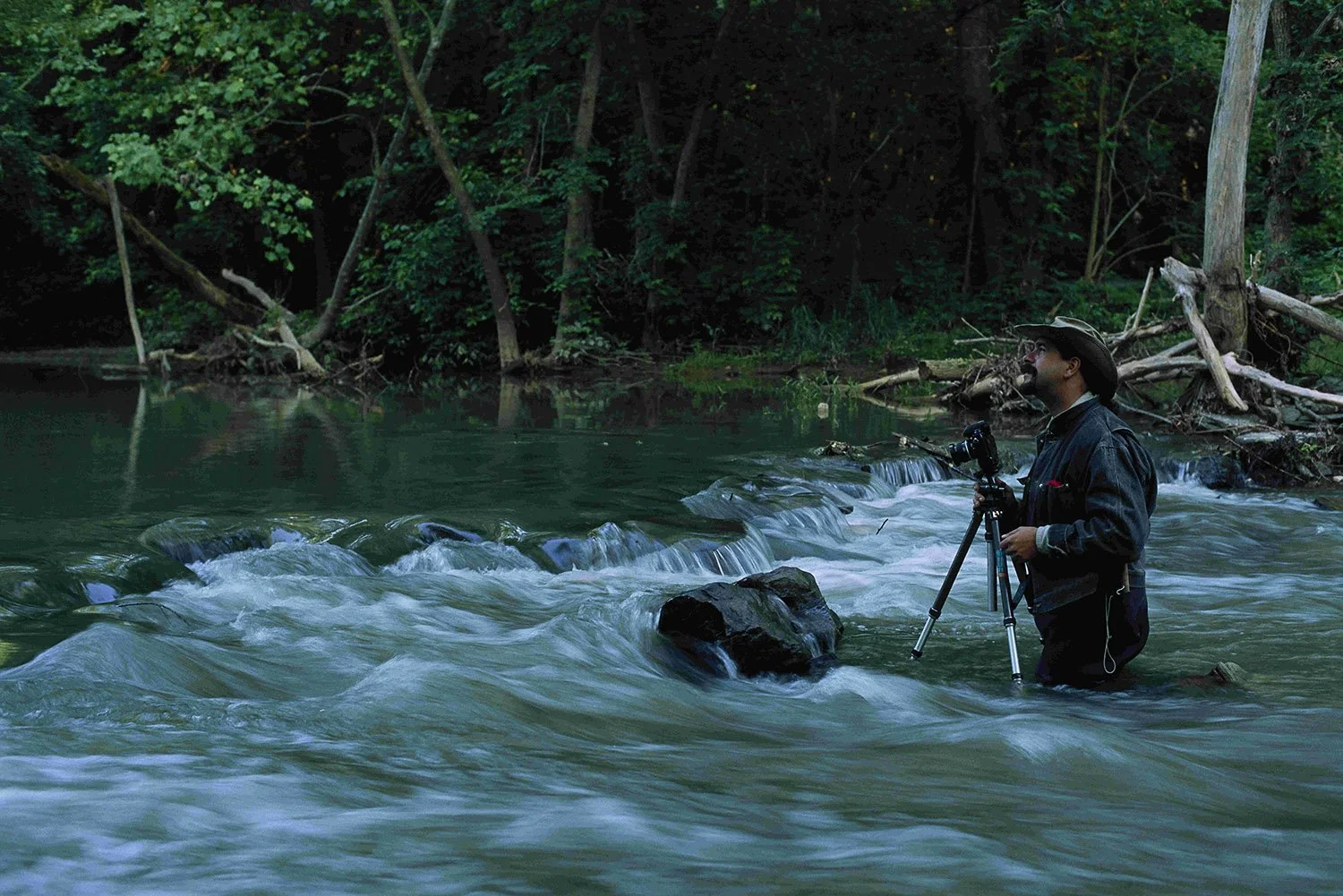 Animal conservation and nature photography keynote presentation by Vincent J. Musi on wildlife science, emotional intelligence, and conservation storytelling