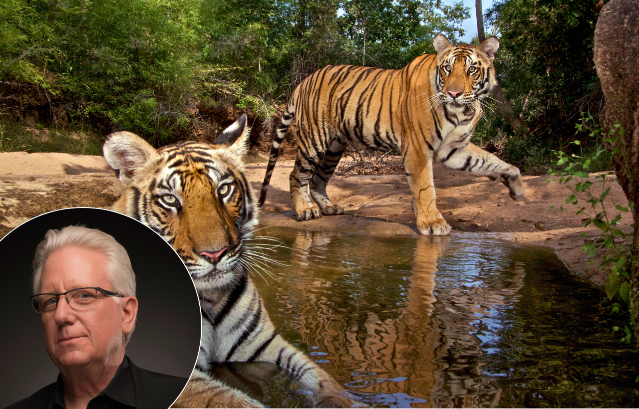 Photographer Steve Winter discussing the keynote speaking topic of wild cat conservation, from Himalayan snow leopards to Hollywood cougars.