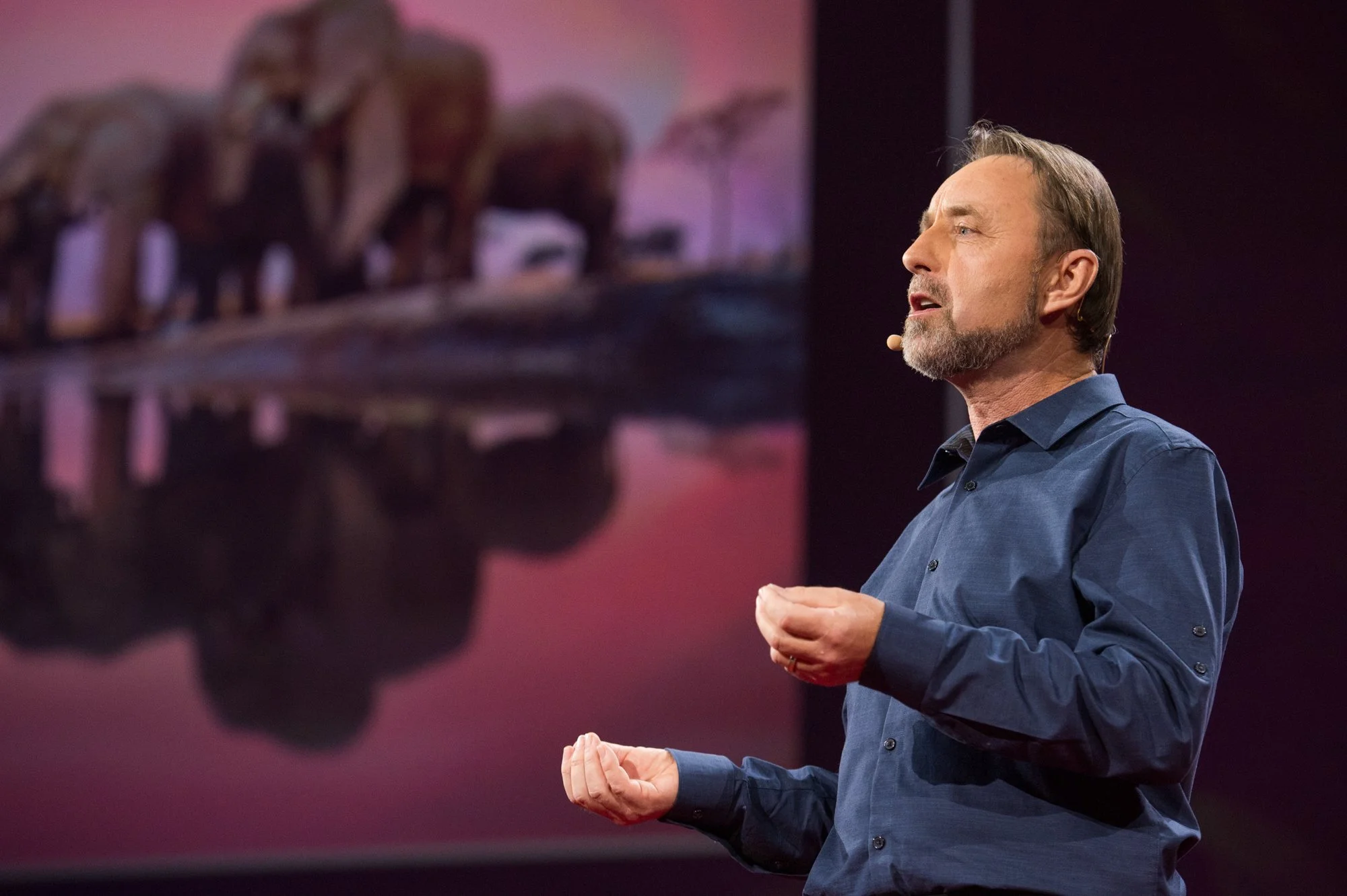 Frans Lanting keynote speaker on climate change, conservation, exploration, ocean photography, polar regions, and wildlife