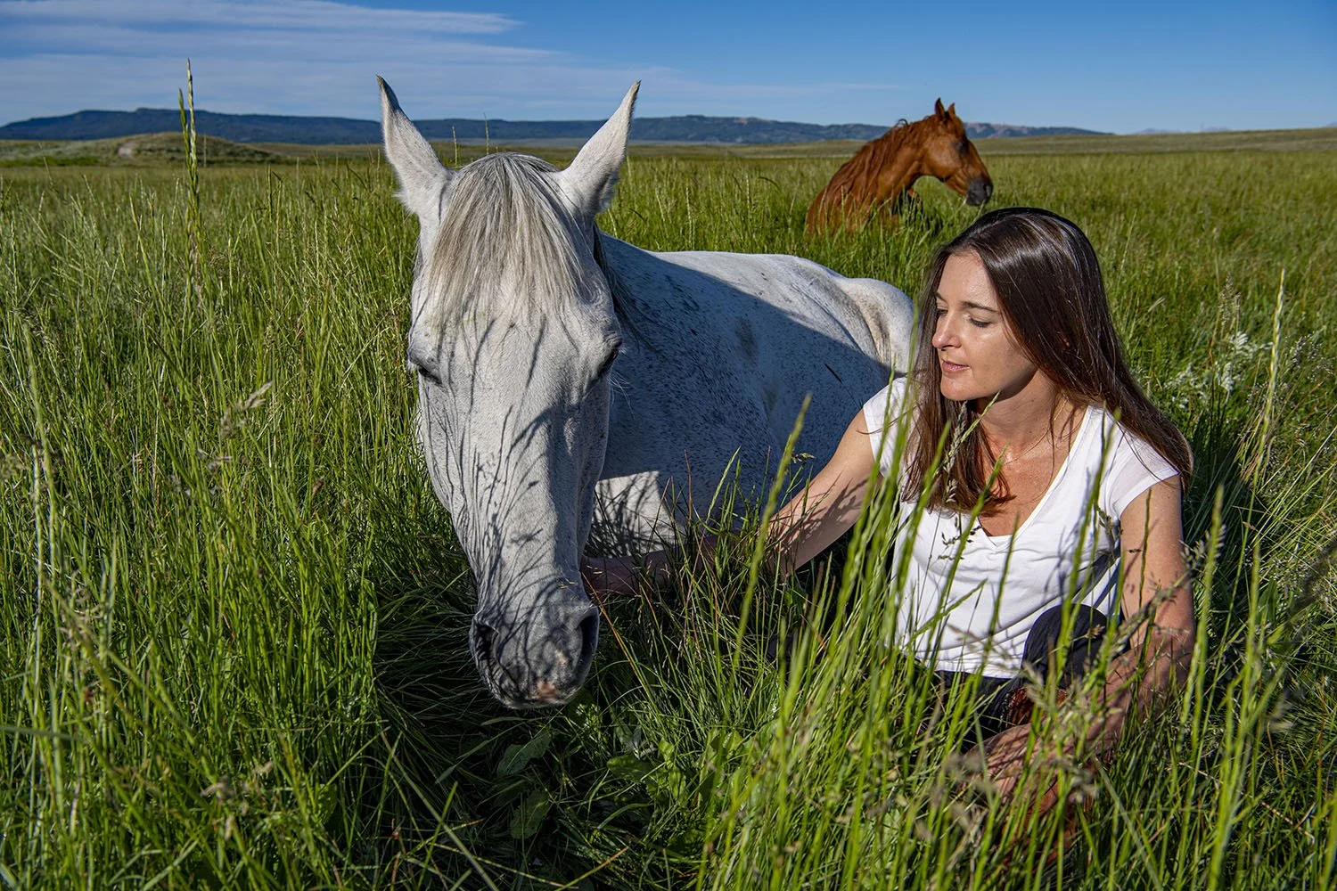 Koelle Simpson keynote speaker and equine-assisted therapy expert speaking on resilience, health and wellness, overcoming obstacles, and nature-based leadership
