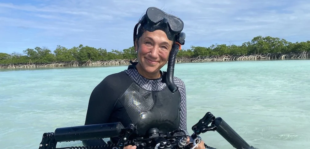 Keynote talk topic focused on nature.