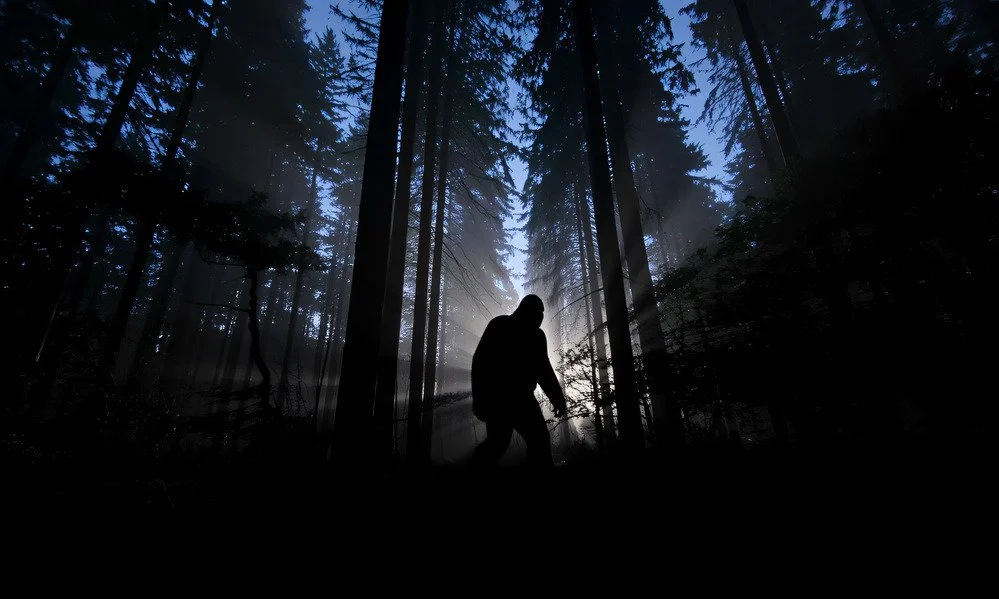 A Night of Bigfoot Mireya Mayor keynote speaking topic