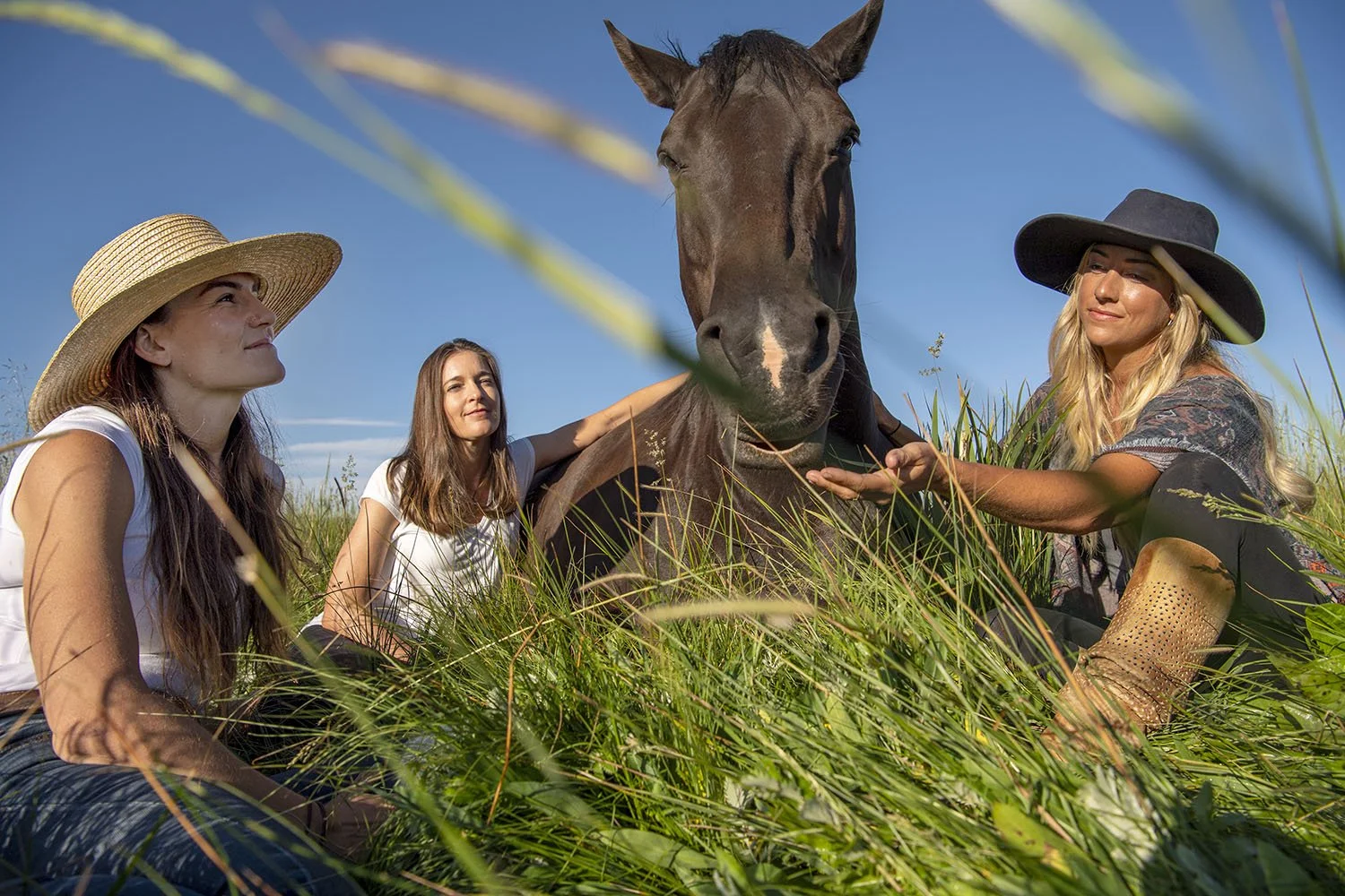 Horse Wisdom: Healing Trauma Though Nature Koelle Simpson keynote speaking topic
