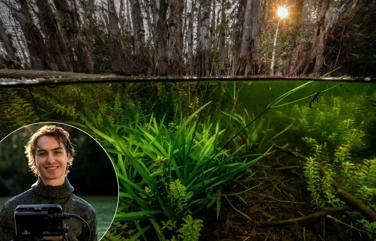 Journey into the Everglades