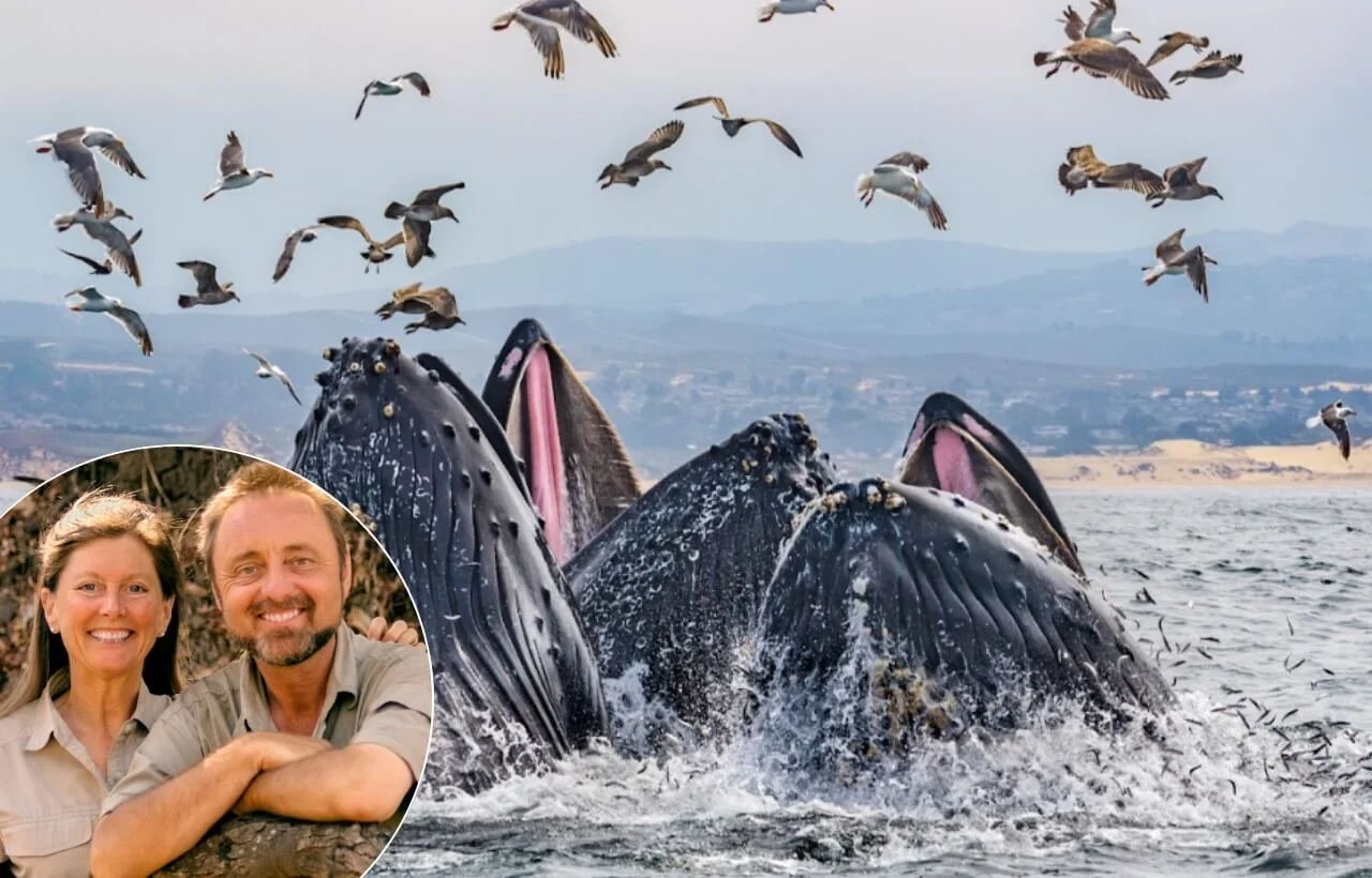 Frans Lanting & Christine Eckstrom keynote speaking topic on ecological recovery, biodiversity, and conservation at Monterey Bay