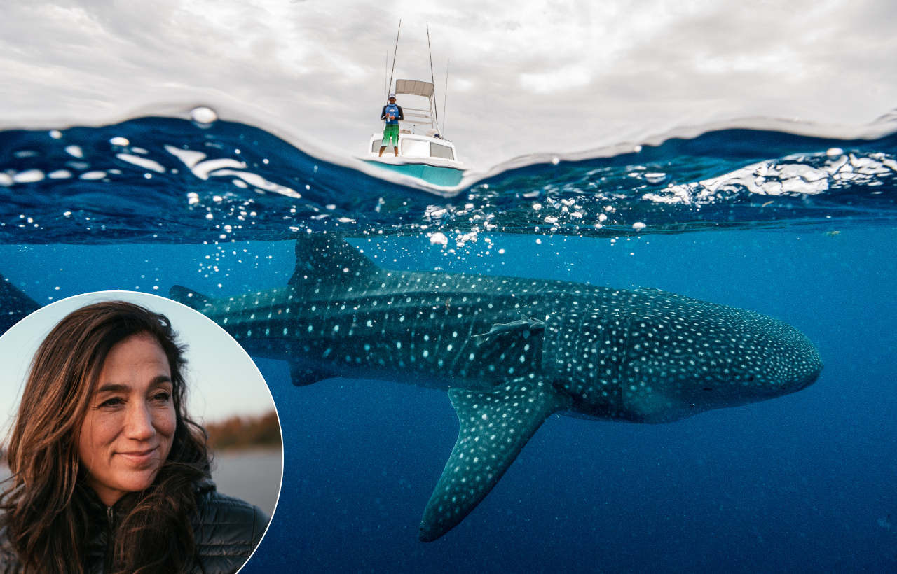 Cristina Mittermeier keynote speaking topic on ocean conservation and inspiring action through marine biology and National Geographic photography