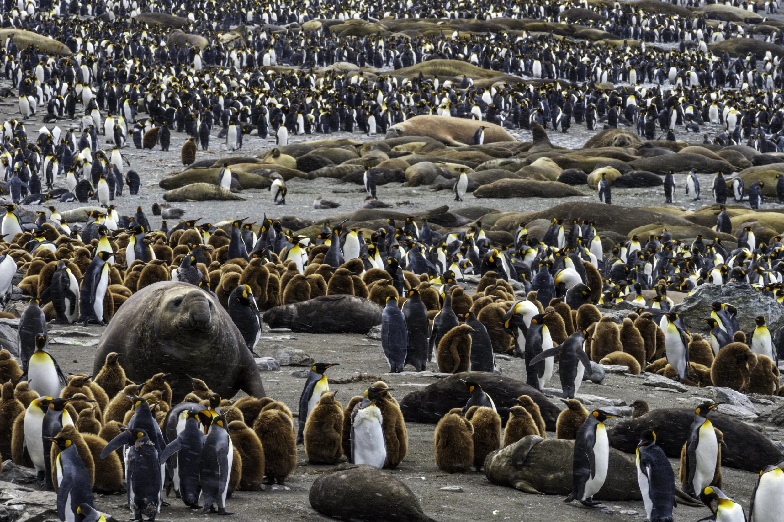 In the Spirit of Shackleton keynote topic