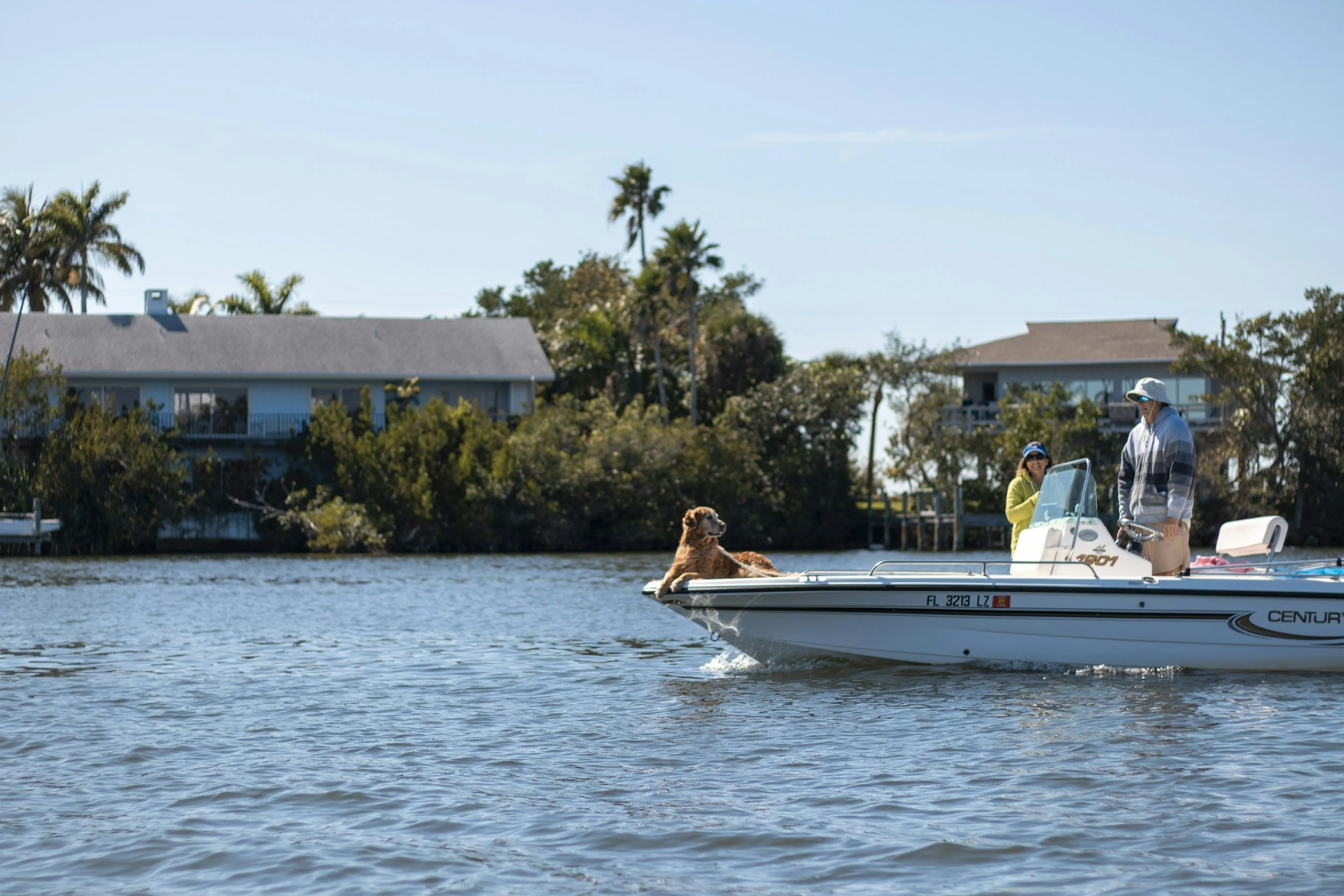 People on a boat with a dog sitting at the bow, in a waterway with houses and palm trees in the background.